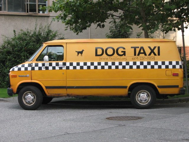 Dog taxi