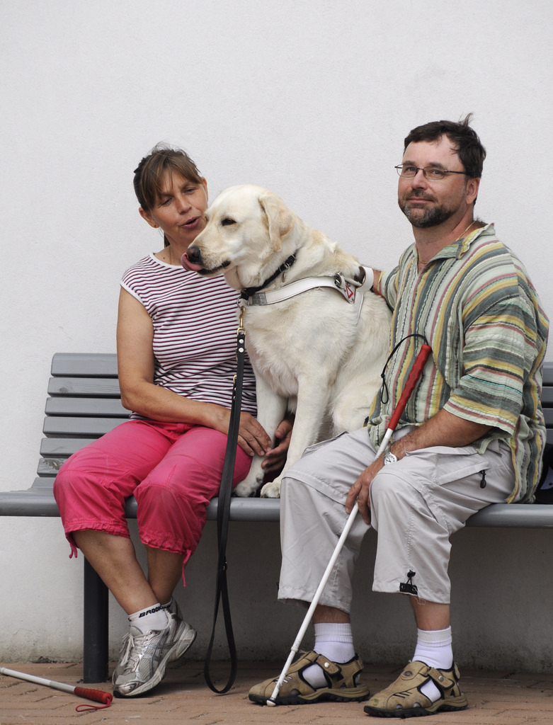 blind man with guide dog