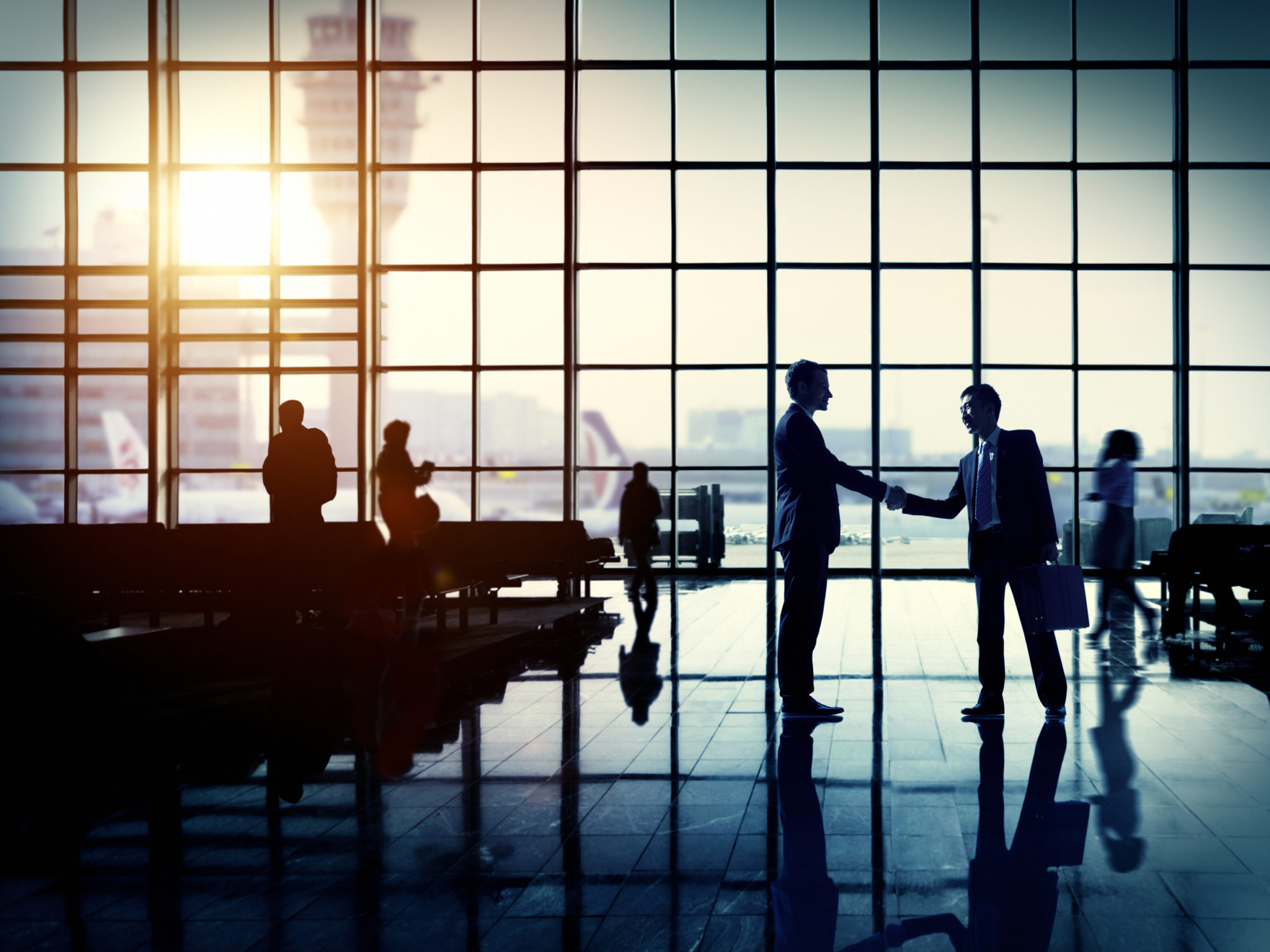 Business Traveler Airport