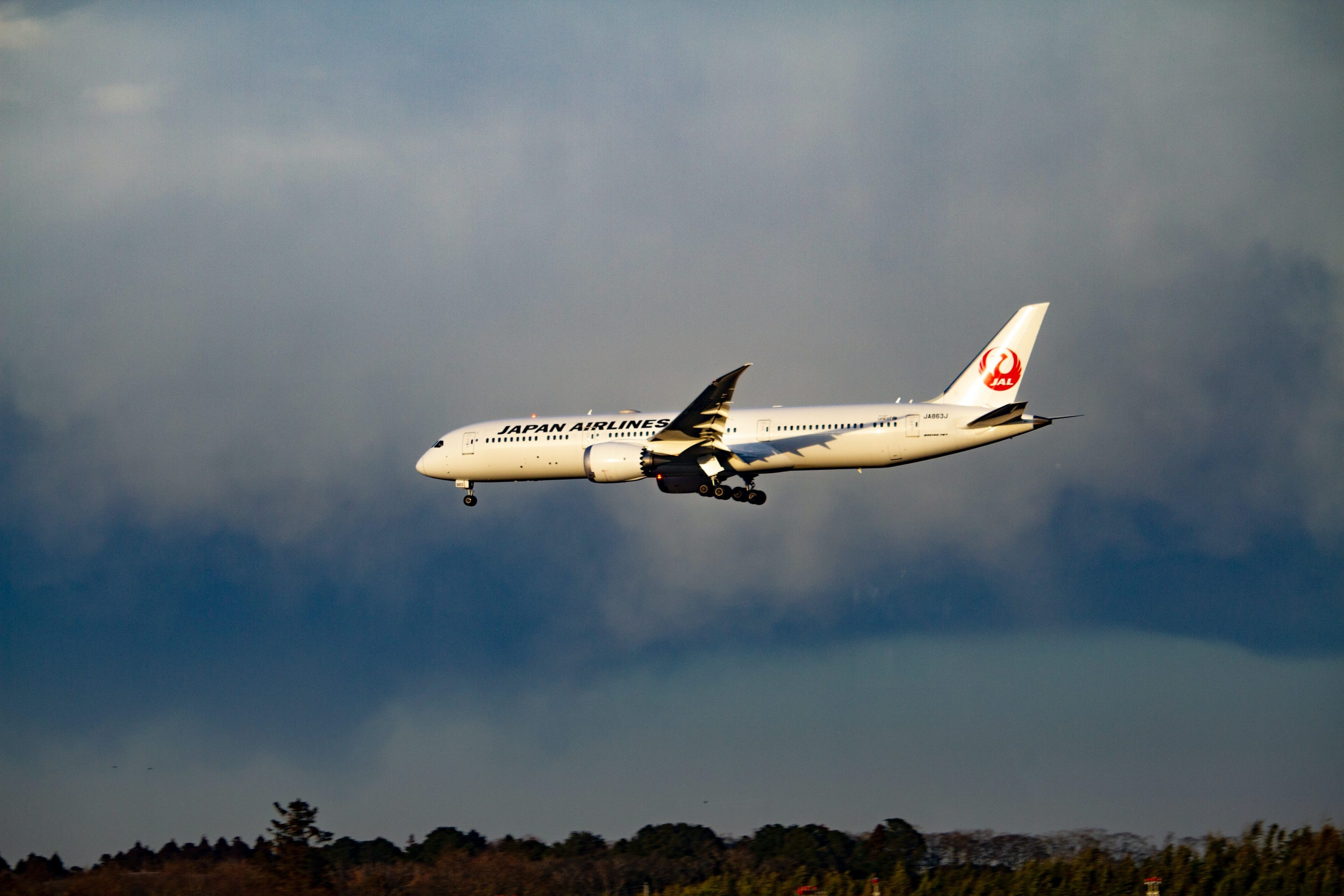 Japan Airlines 787
