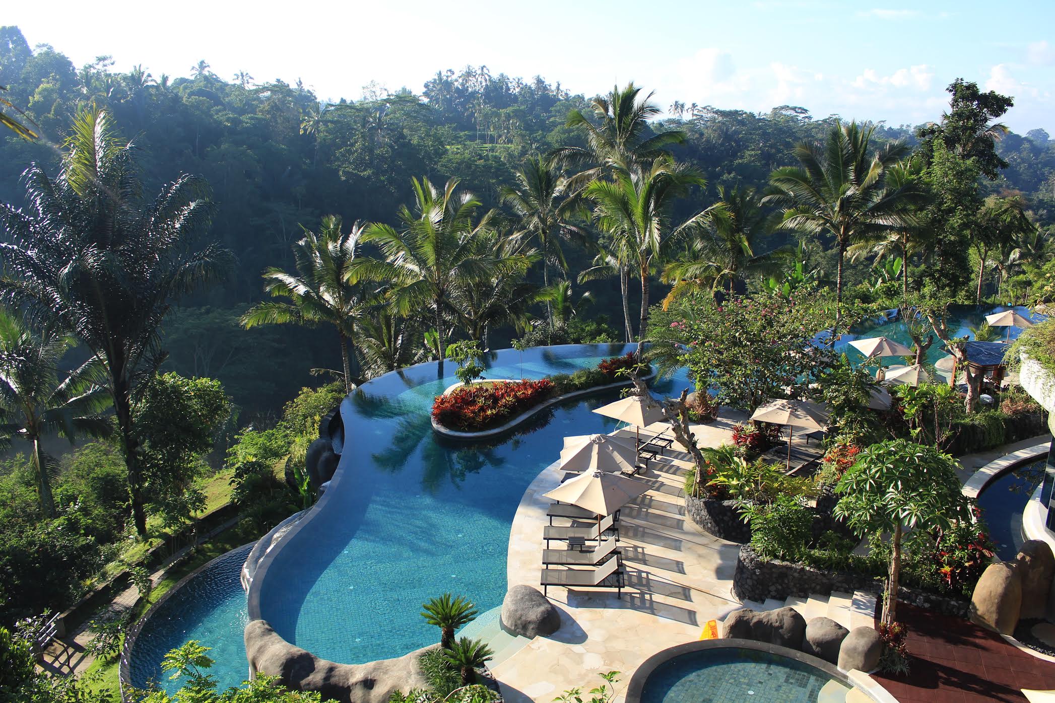 TravelTomTom in Bali