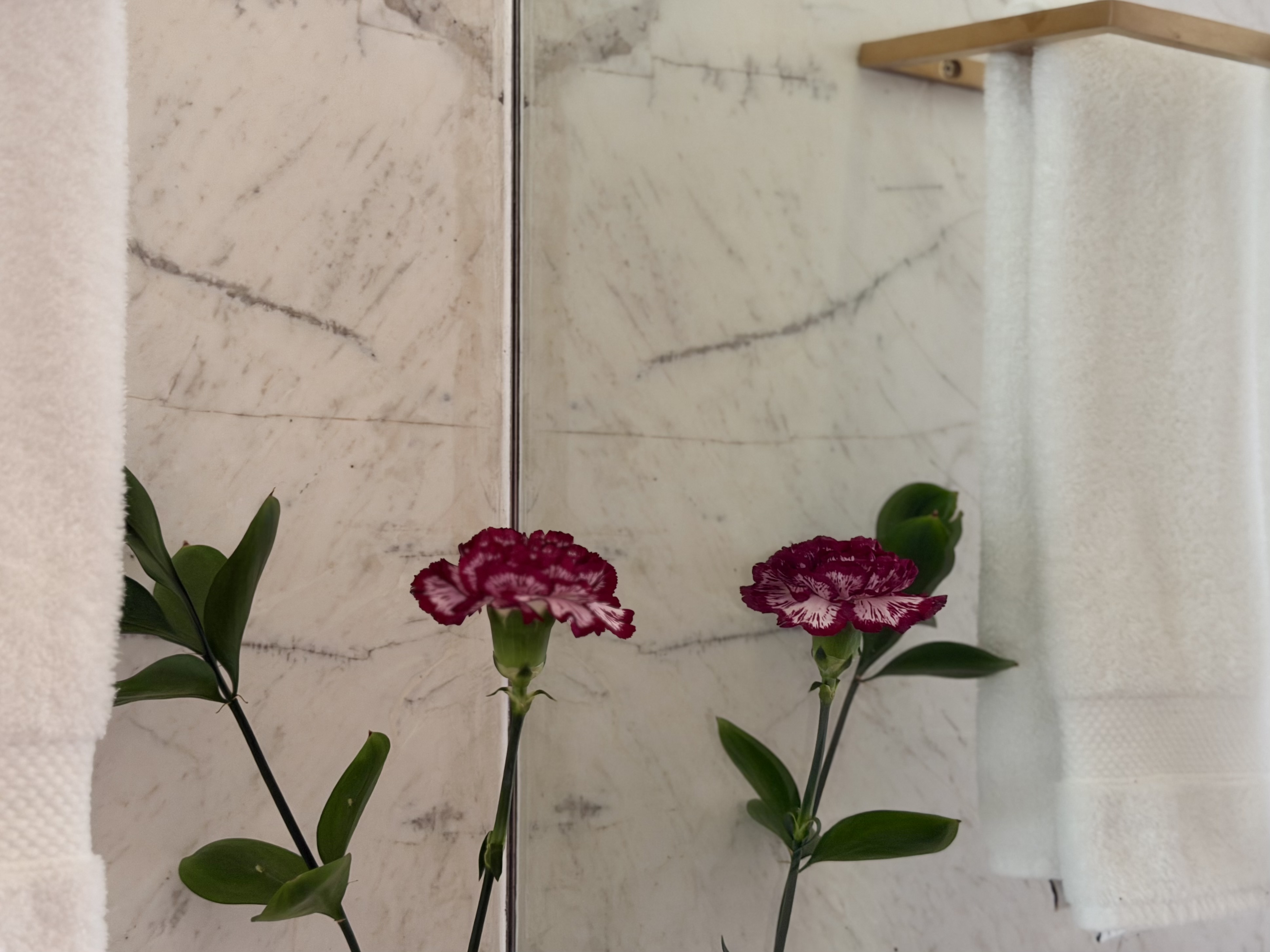 Emiliano Rio Ocean Deluxe fresh flowers