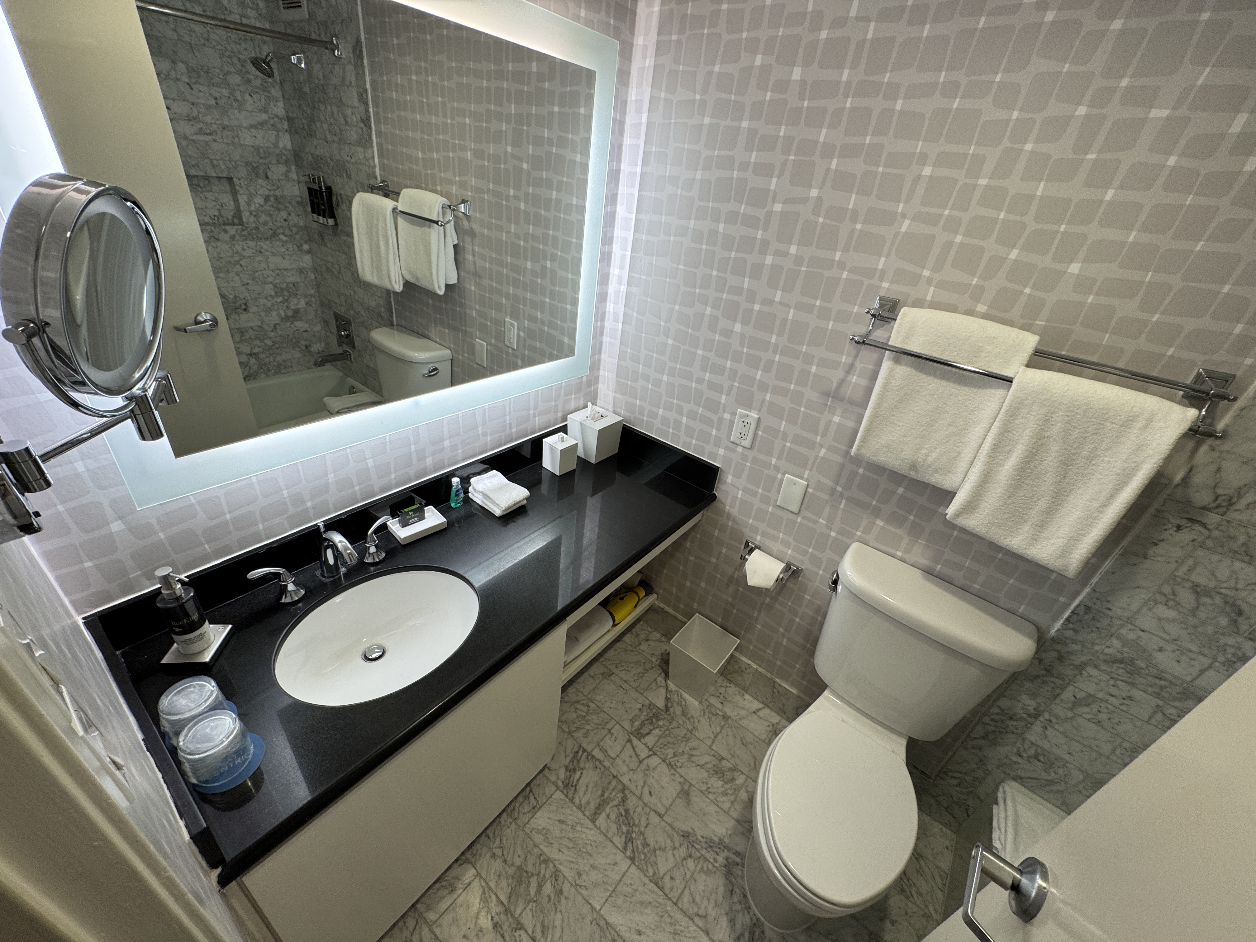 Hyatt Centric Delfina Santa Monica vanity toilet