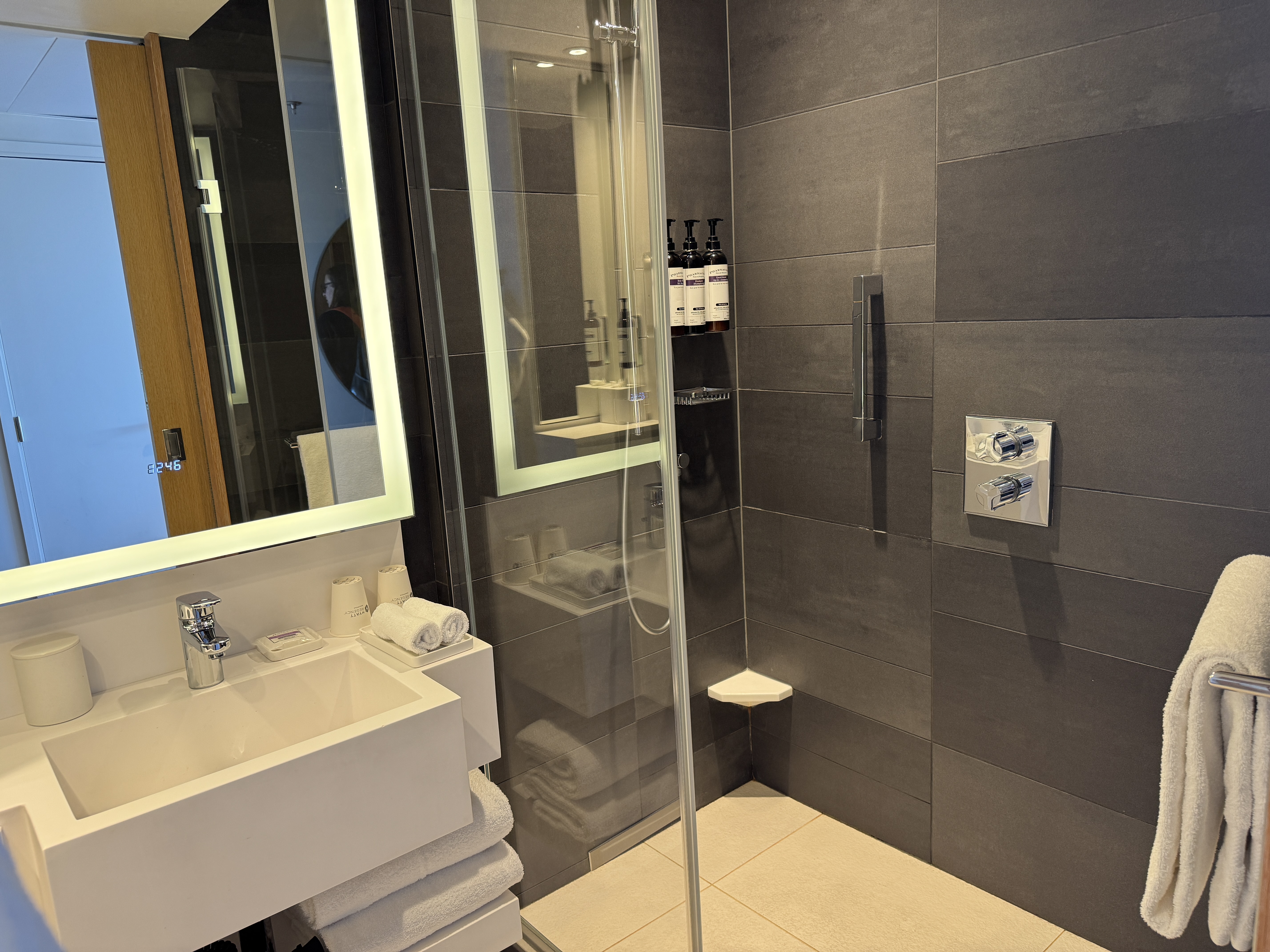 Hyatt Regency Paris Etoile shower