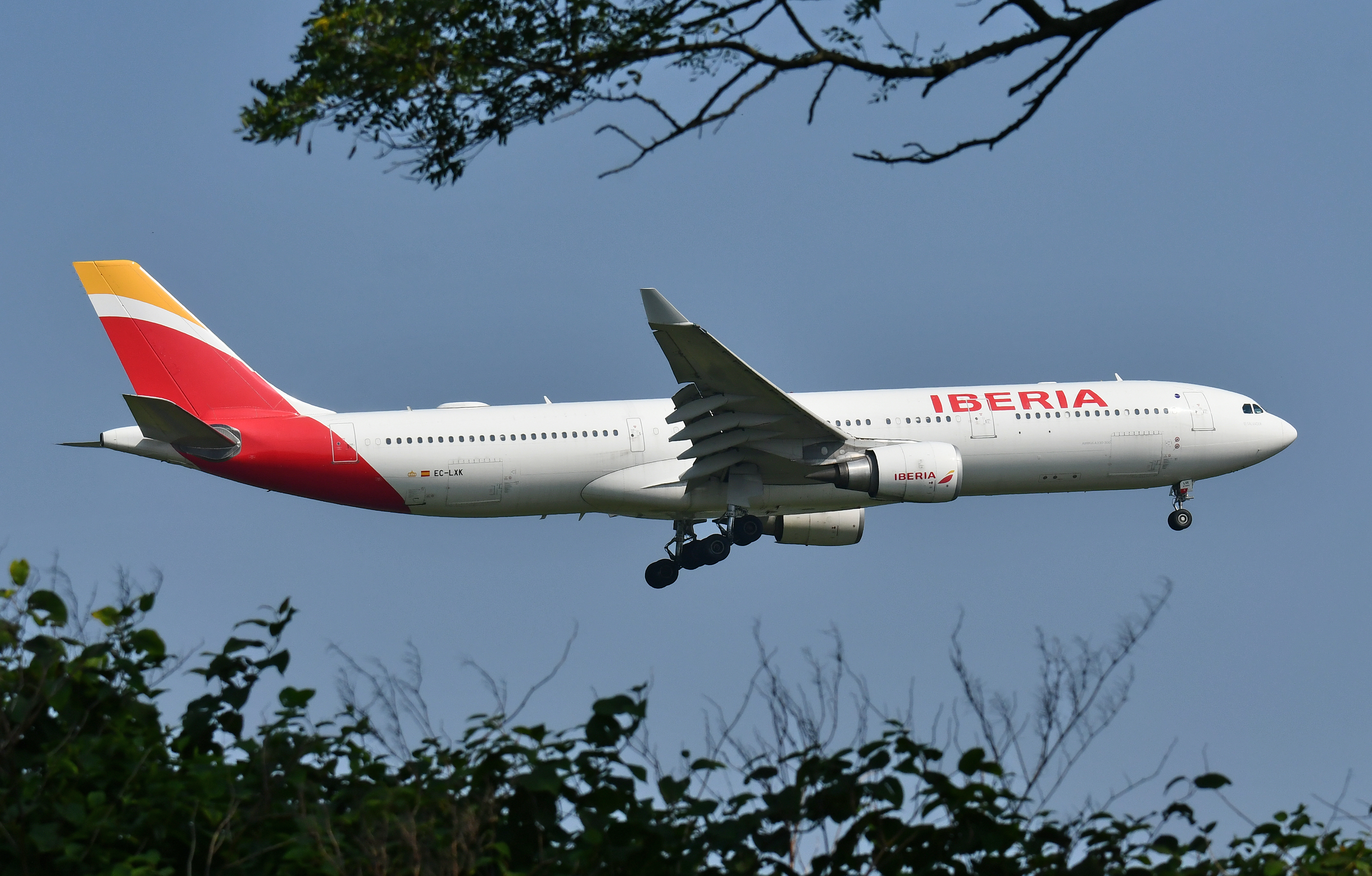 Iberia A330 300 Landing JFK 22R Trees Iberia A330 300 Landing JFK 22R Trees