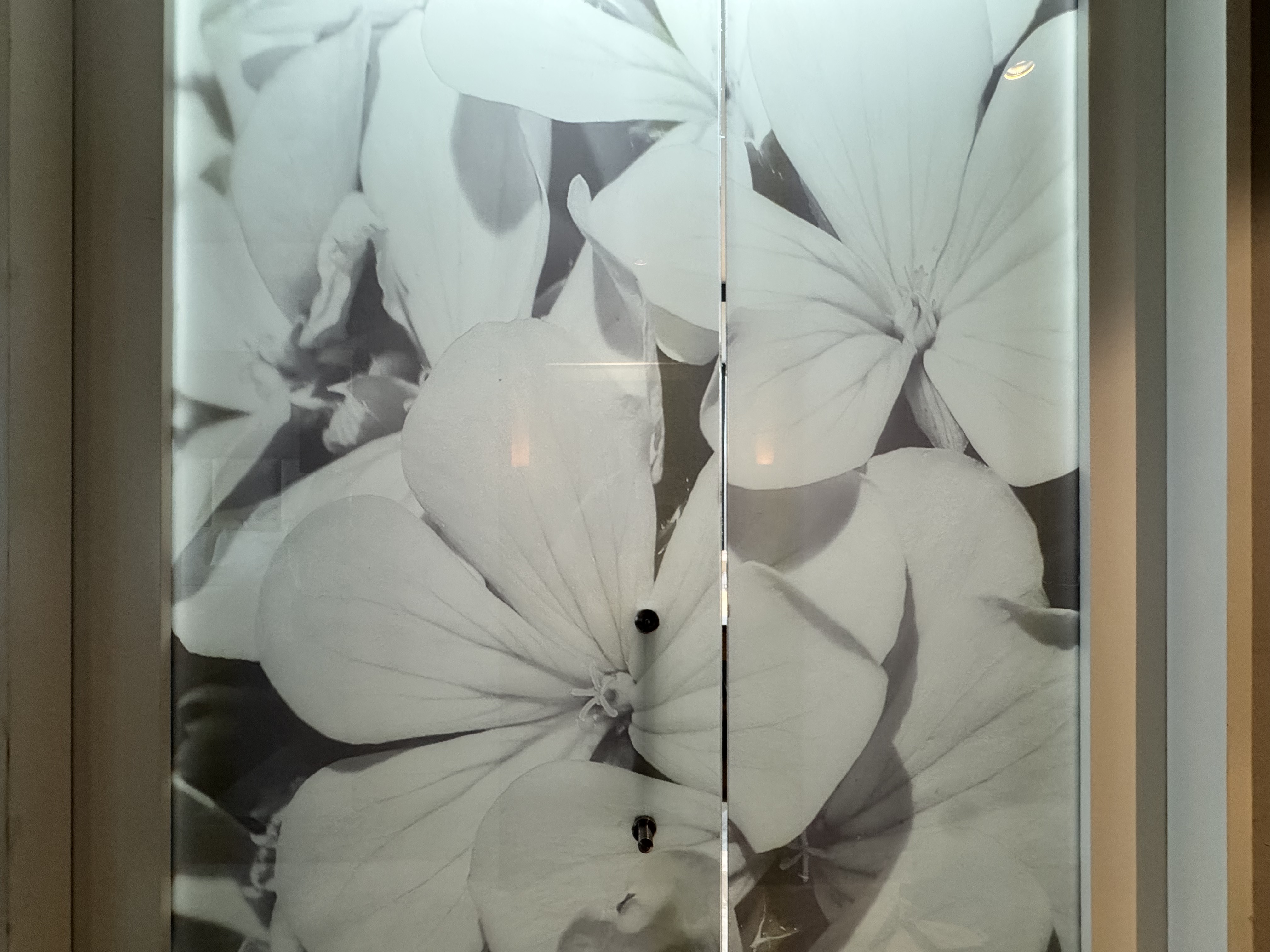 InterContinental Cartagena Bathroom Door