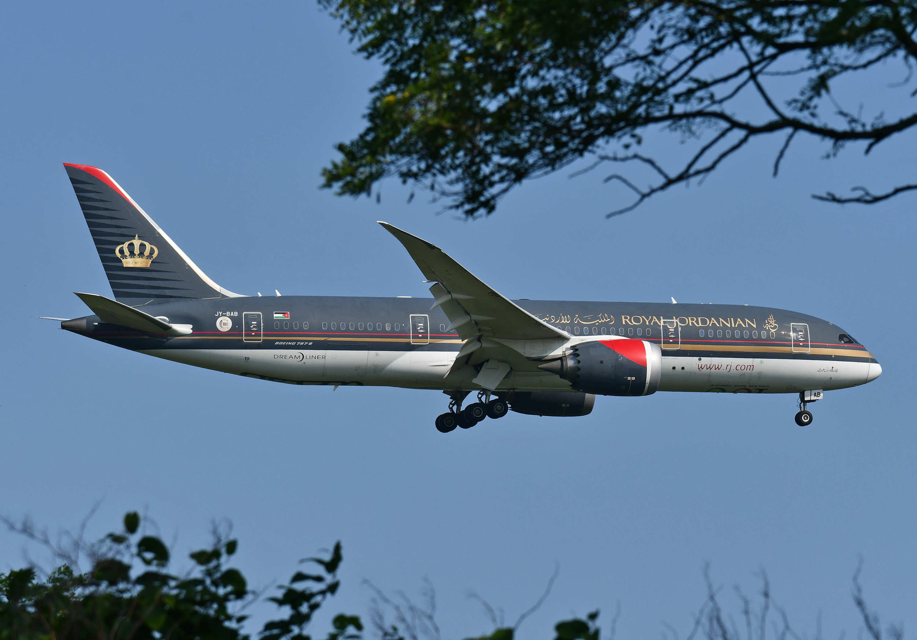 Royal Jordanian B787 8 Landing JFK 22R Trees Royal Jordanian B787 8 Landing JFK 22R Trees