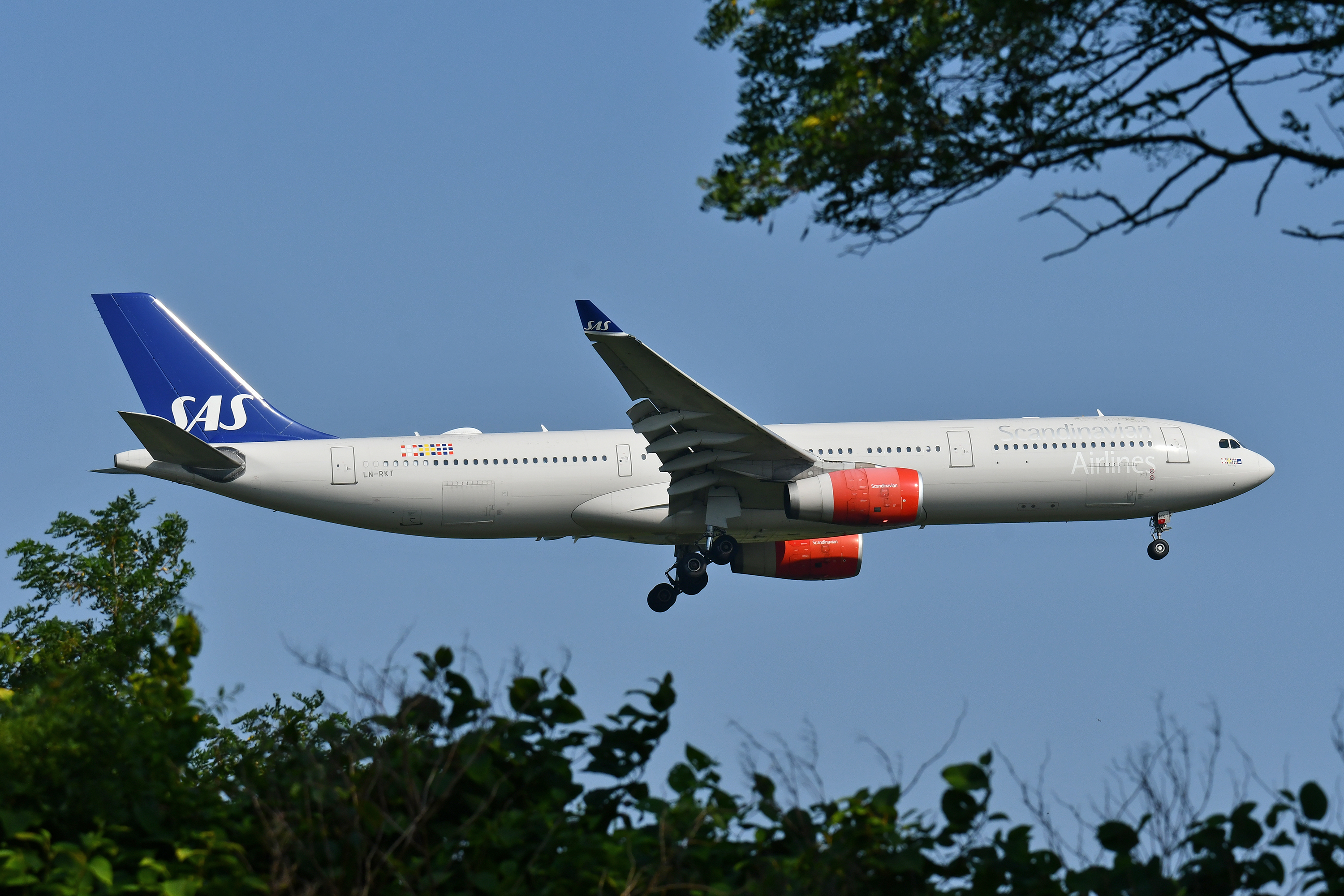 SAS Scandinavian A330 300 Landing JFK 22R Trees SAS Scandinavian A330 300 Landing JFK 22R Trees