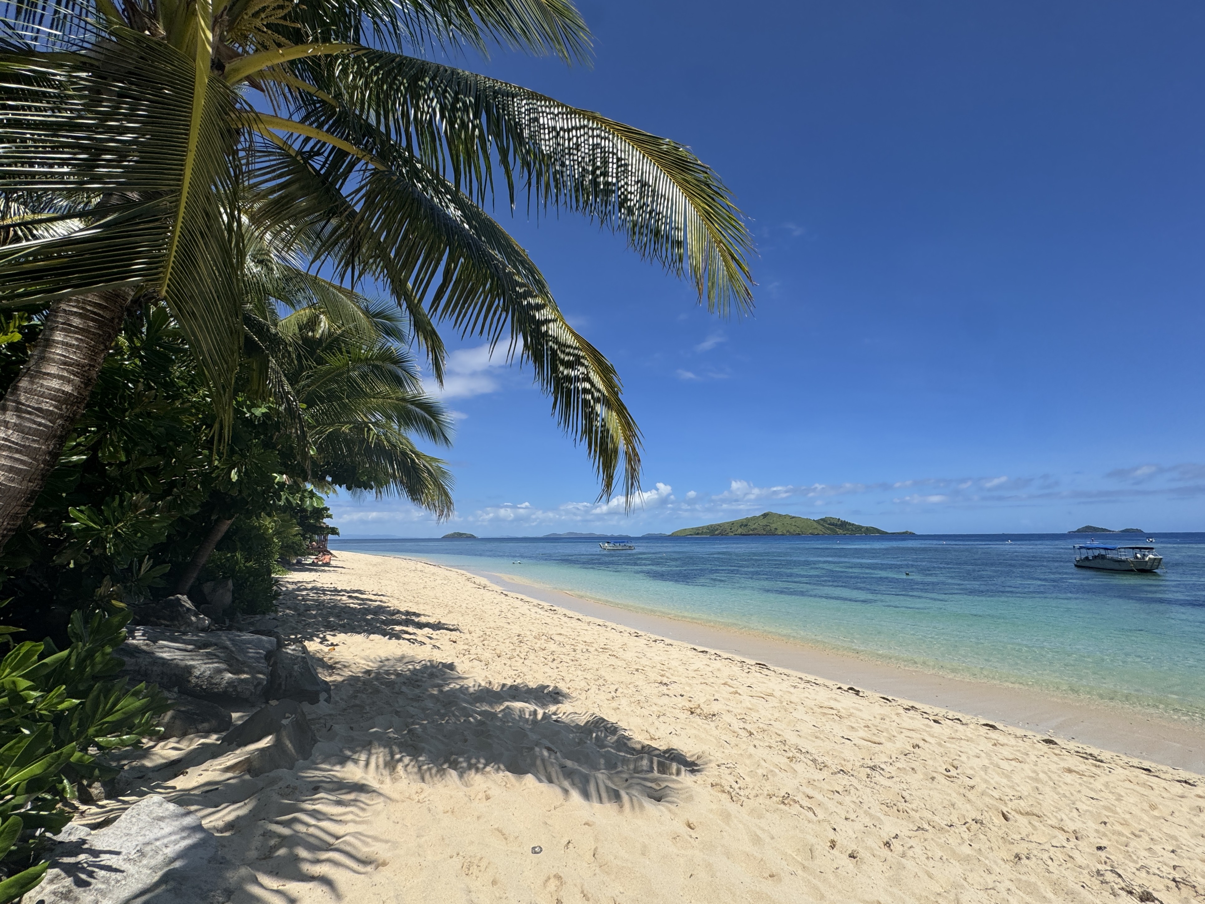 Sheraton Tokoriki Island White sand beach with palm trees ocean island views Sheraton Tokoriki Island White sand beach with palm trees ocean island views