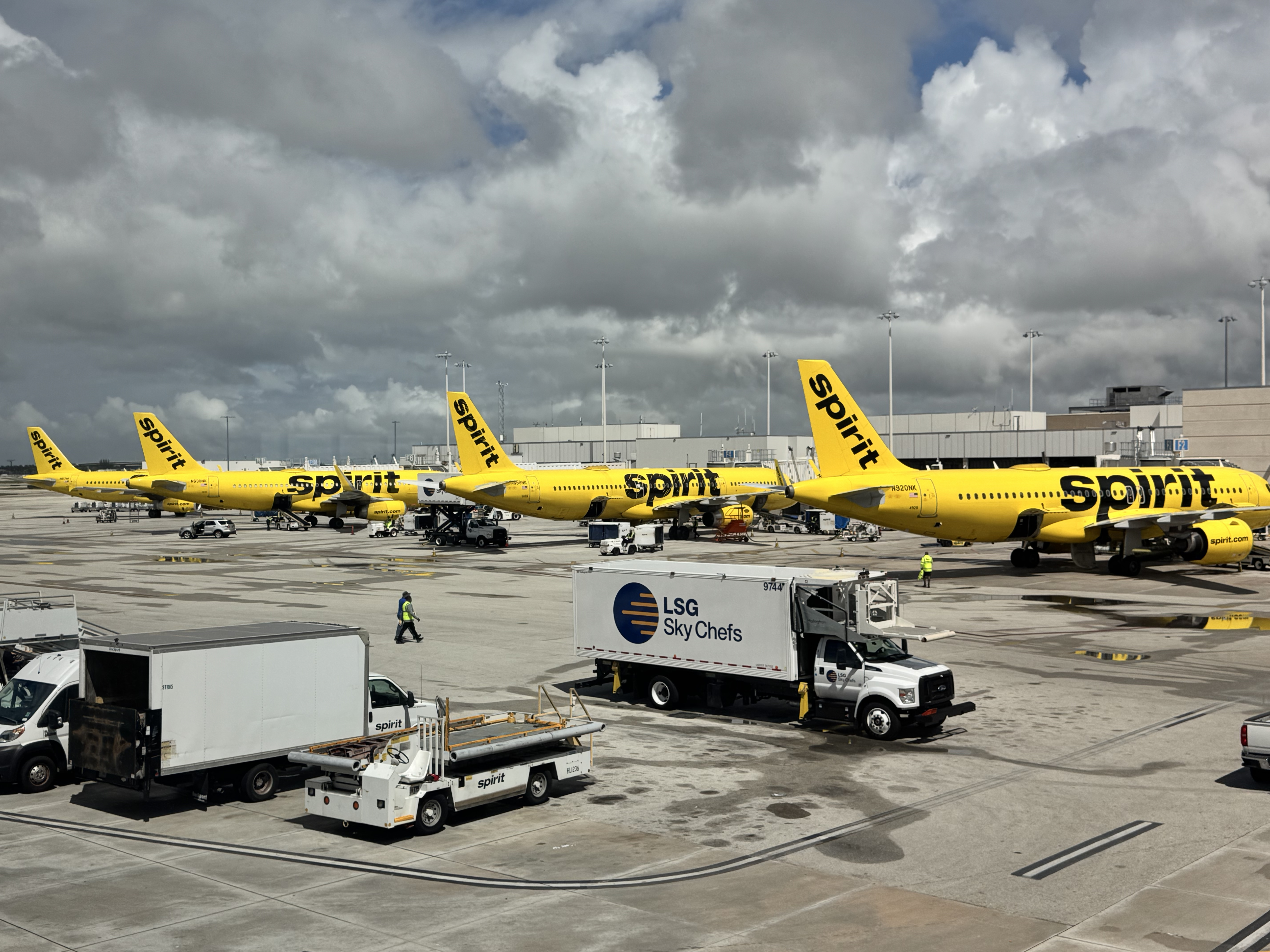Spirit Airlines planes at FLL gates