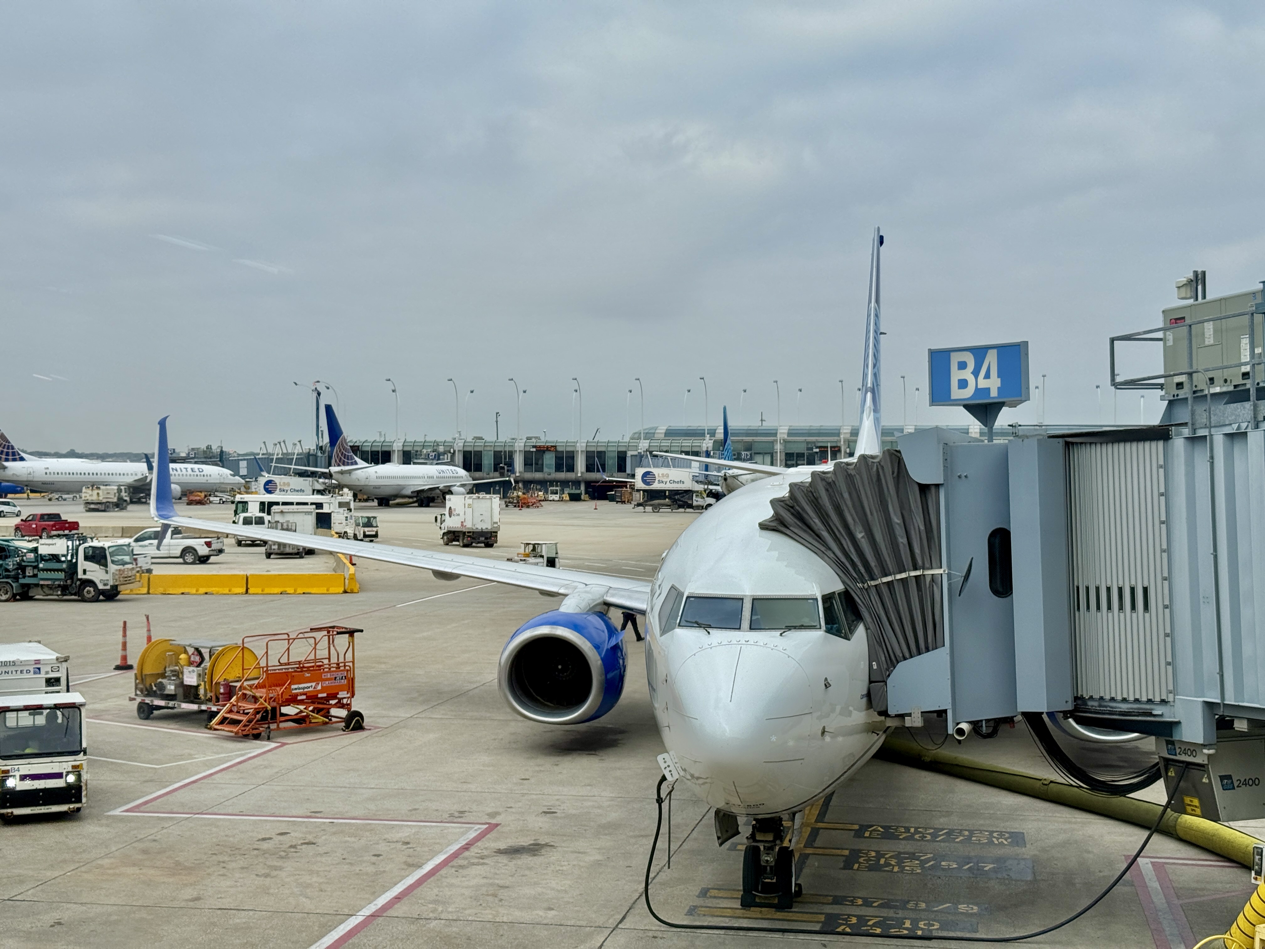 United 737 800 Starlink Equipped United 737 800 Starlink Equipped