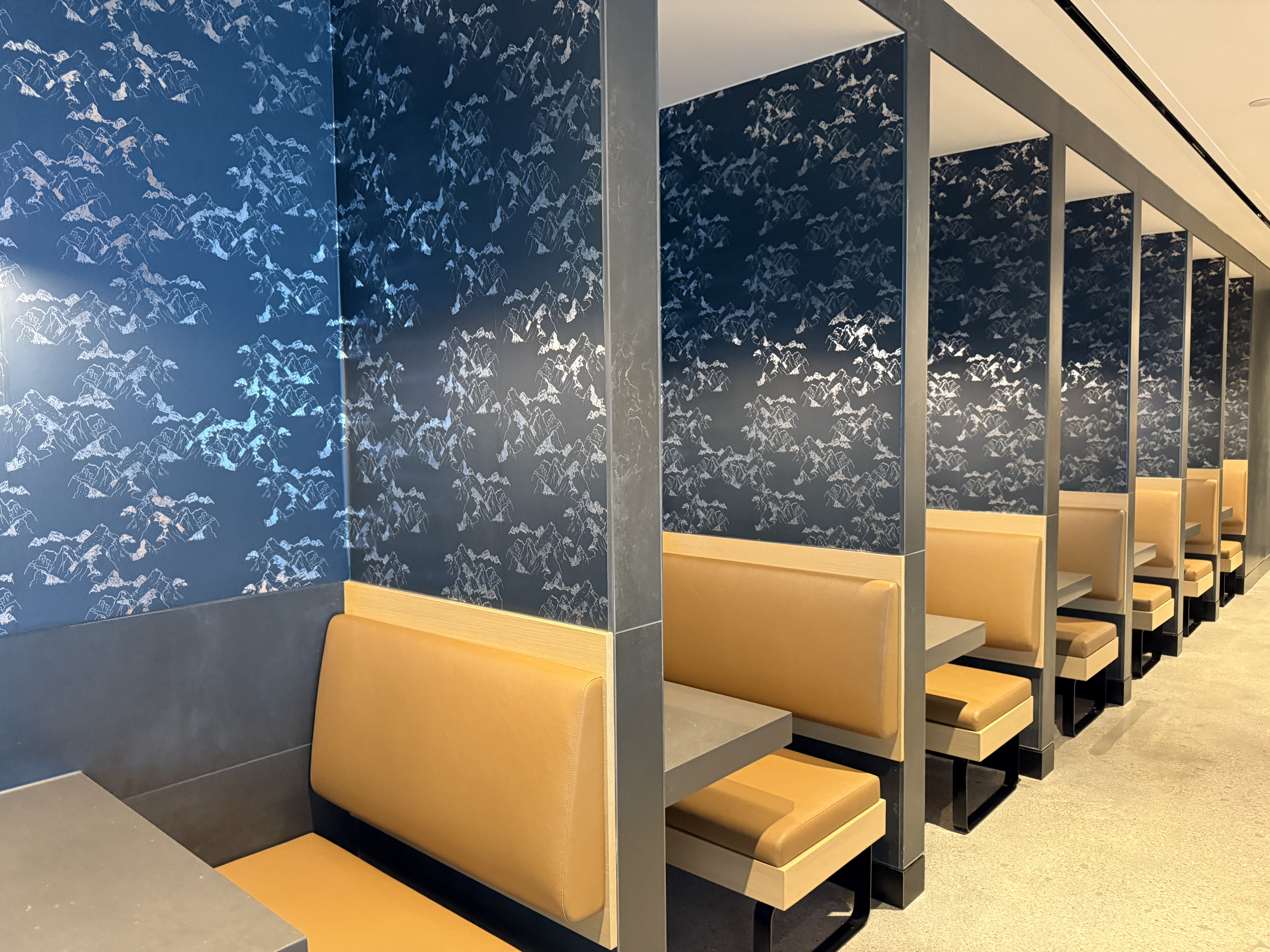 United Club Denver B West Mountain Wallpaper United Club Denver B West Mountain Wallpaper
