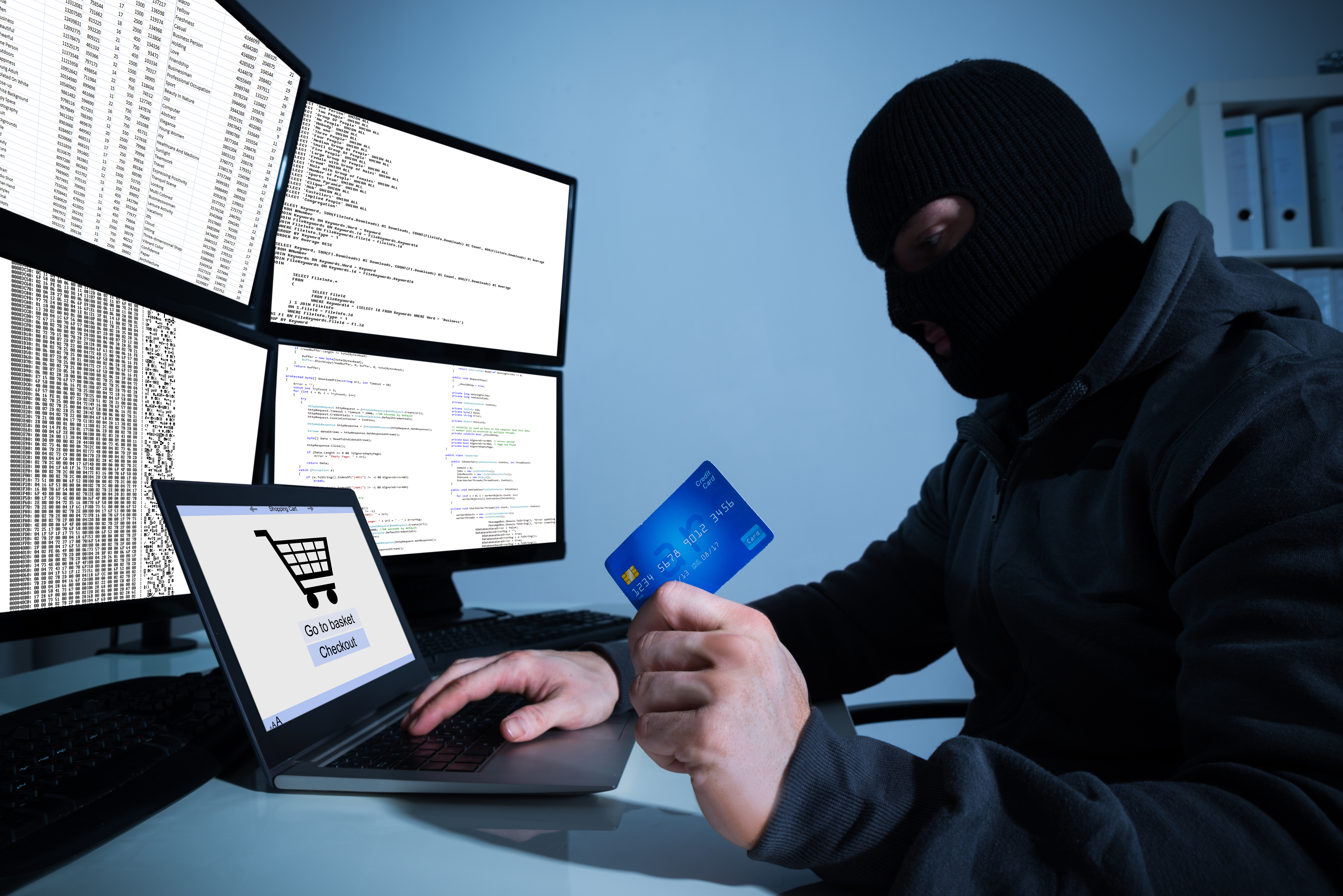 Credit Card Fraud