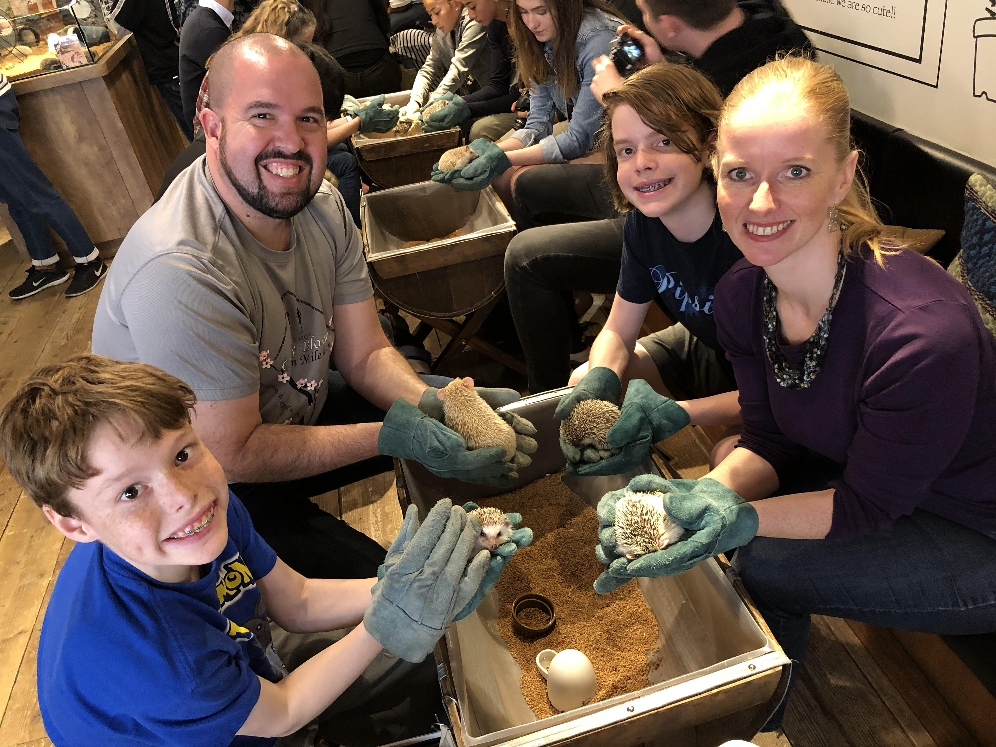 Hedgehog Cafe Tokyo