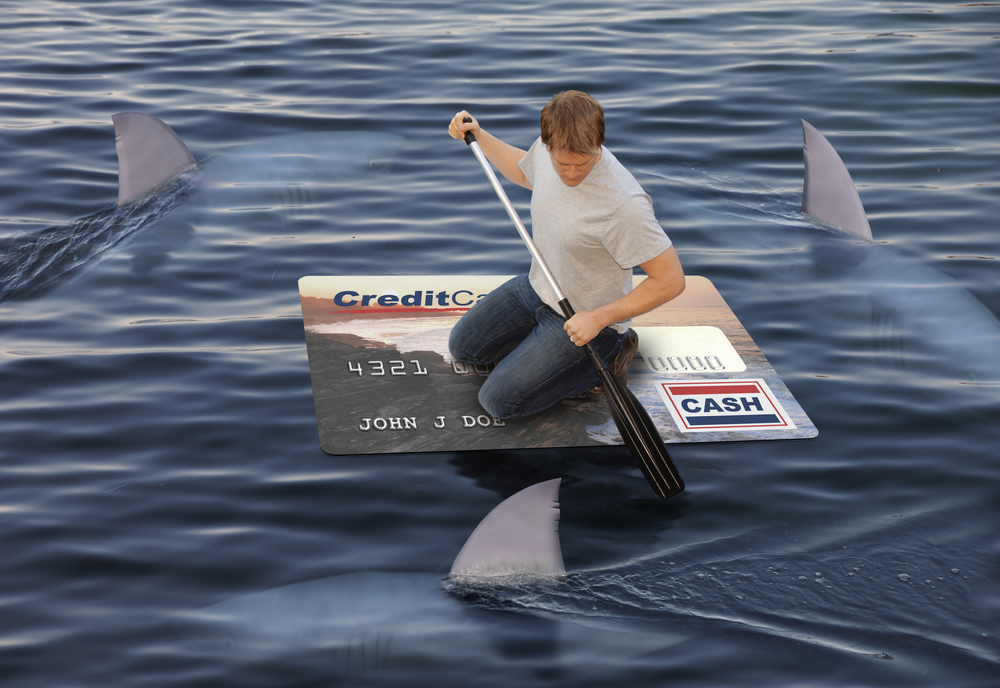 Credit Card Shark