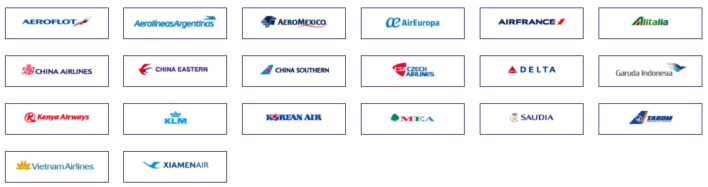SkyTeam Logo