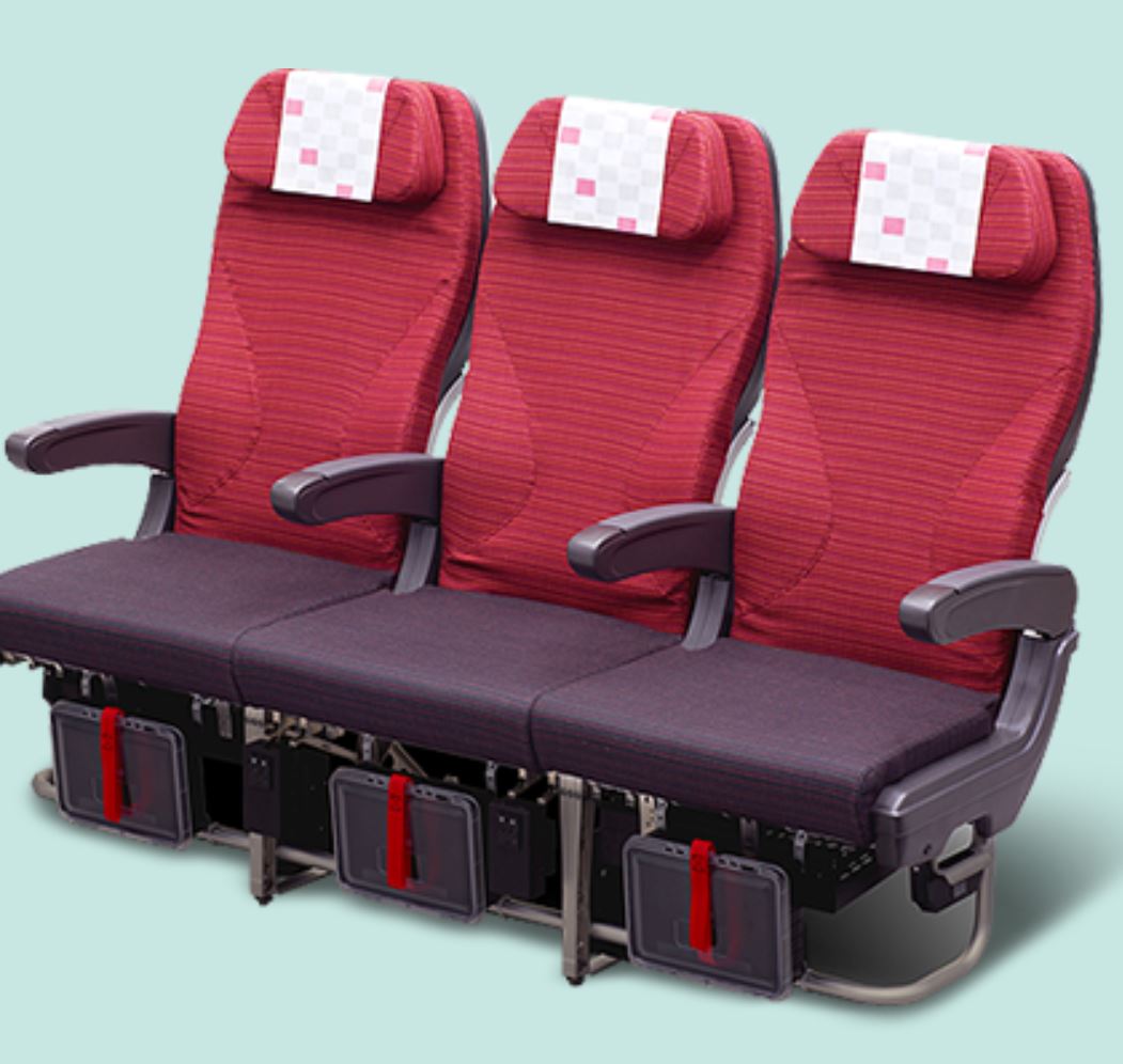 JAL Economy