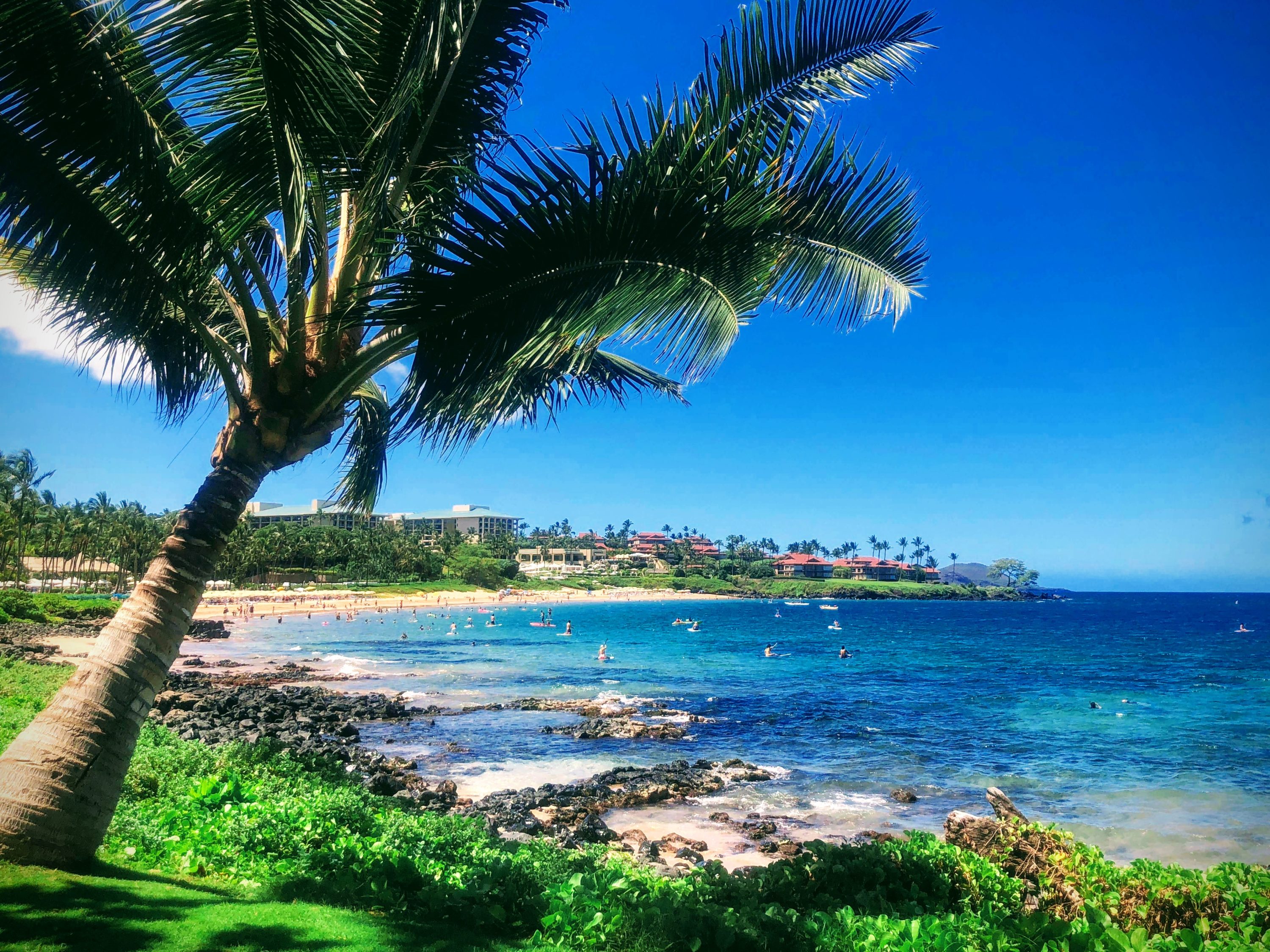 Maui Hawaii - Katie Seemann