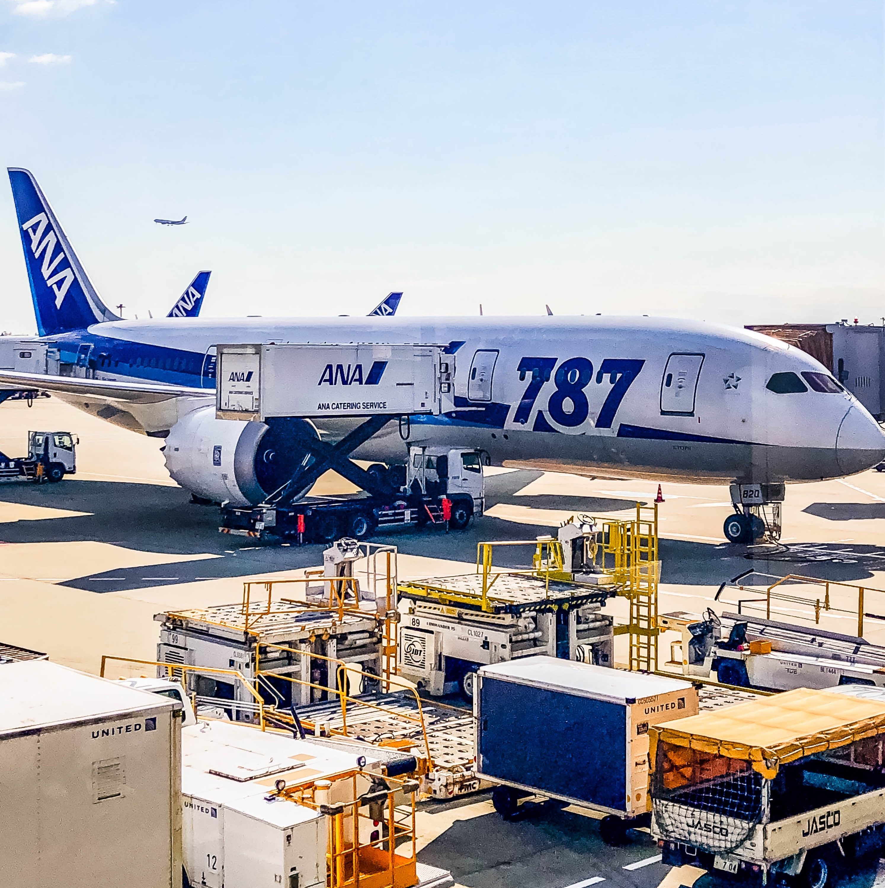 ANA Boeing 787-8