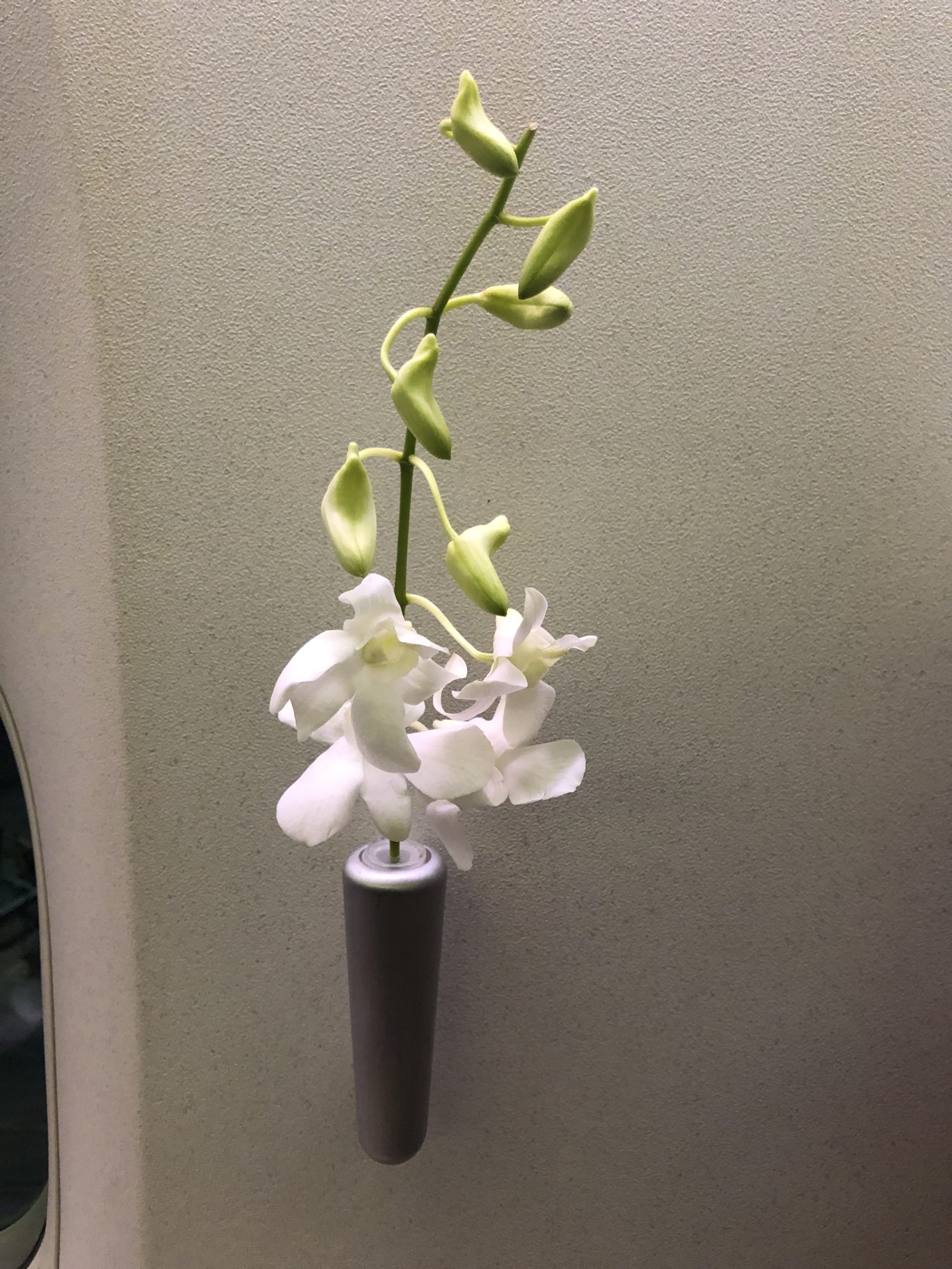 Cathay Pacific 777 first class flower