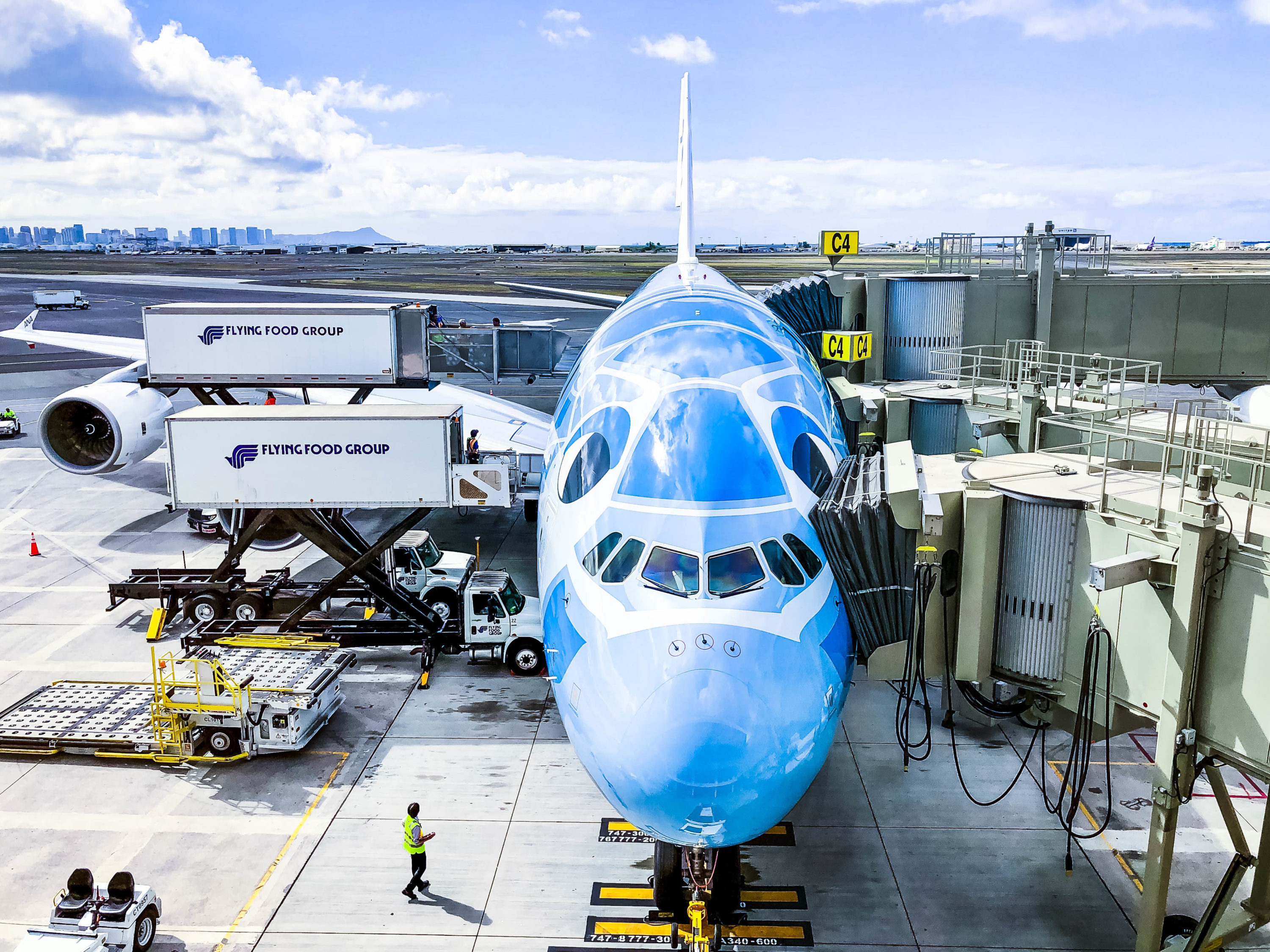 ANA A380 Flying Honu