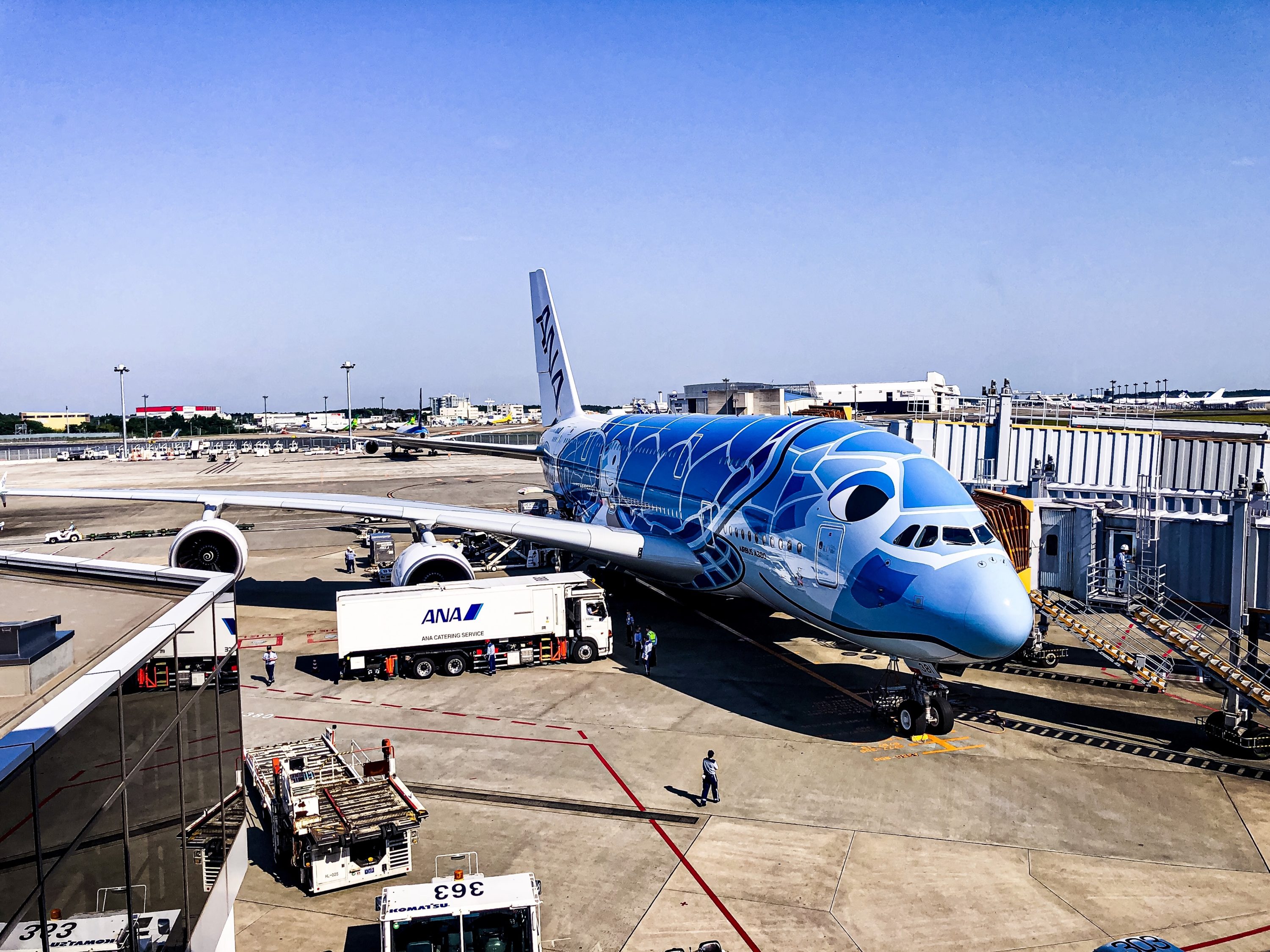 ANA A380