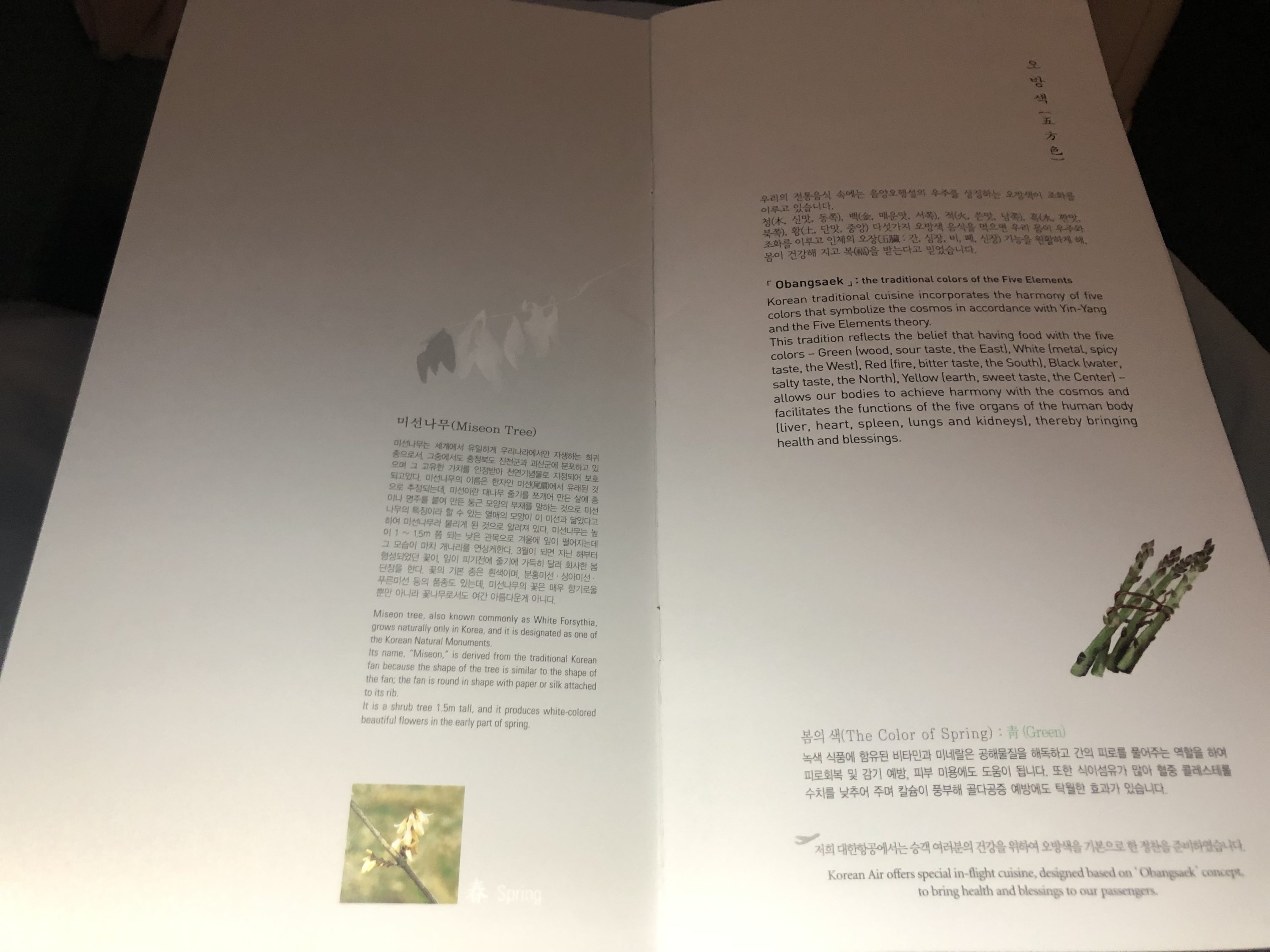 Korean Air first class inside title page