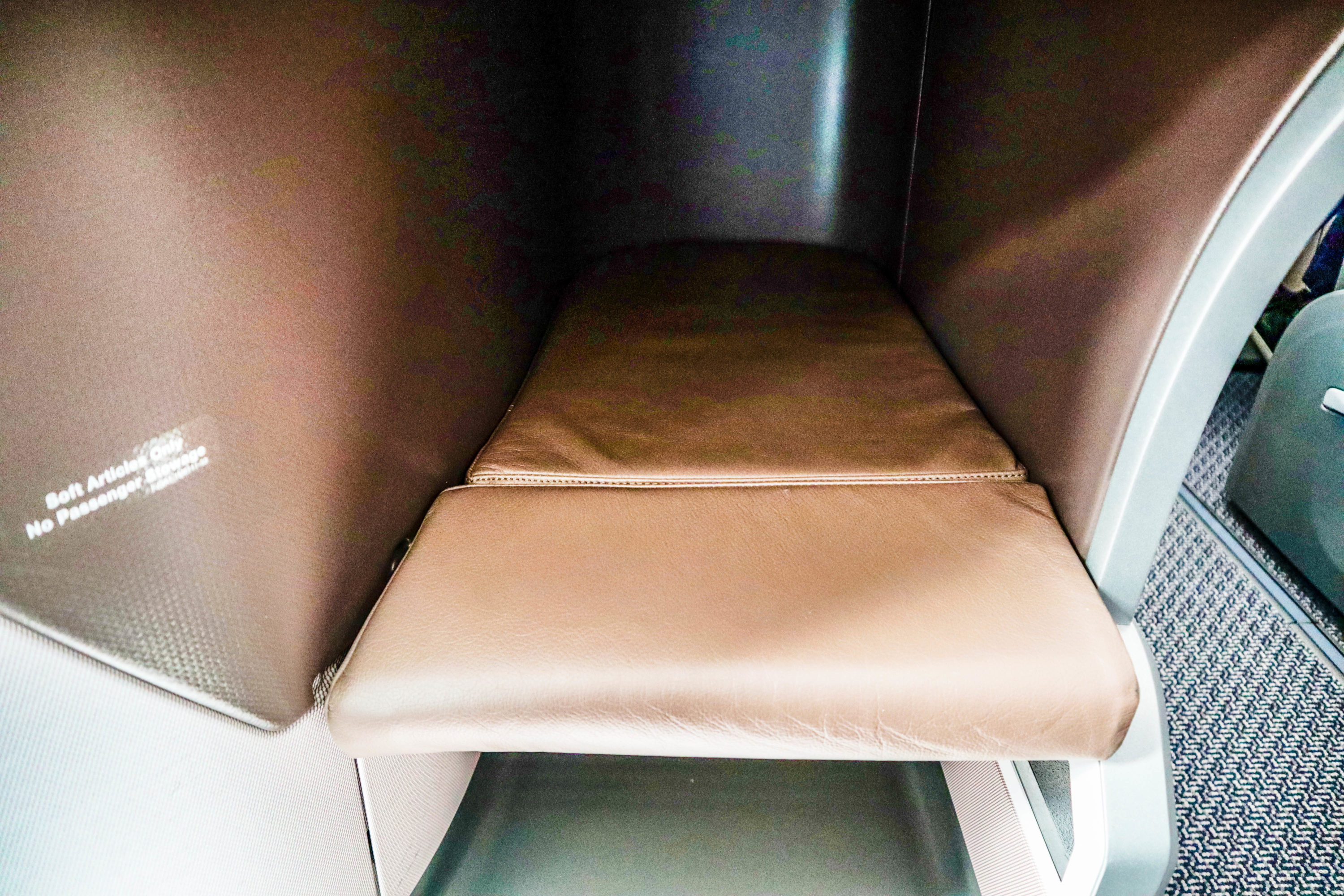 Singapore Airlines B787-10 Regional Business Class Cubby