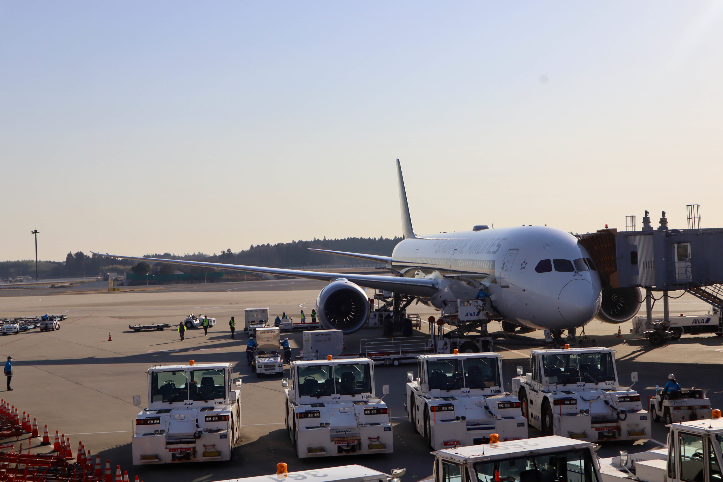 Singapore Airlines Boeing 787-10