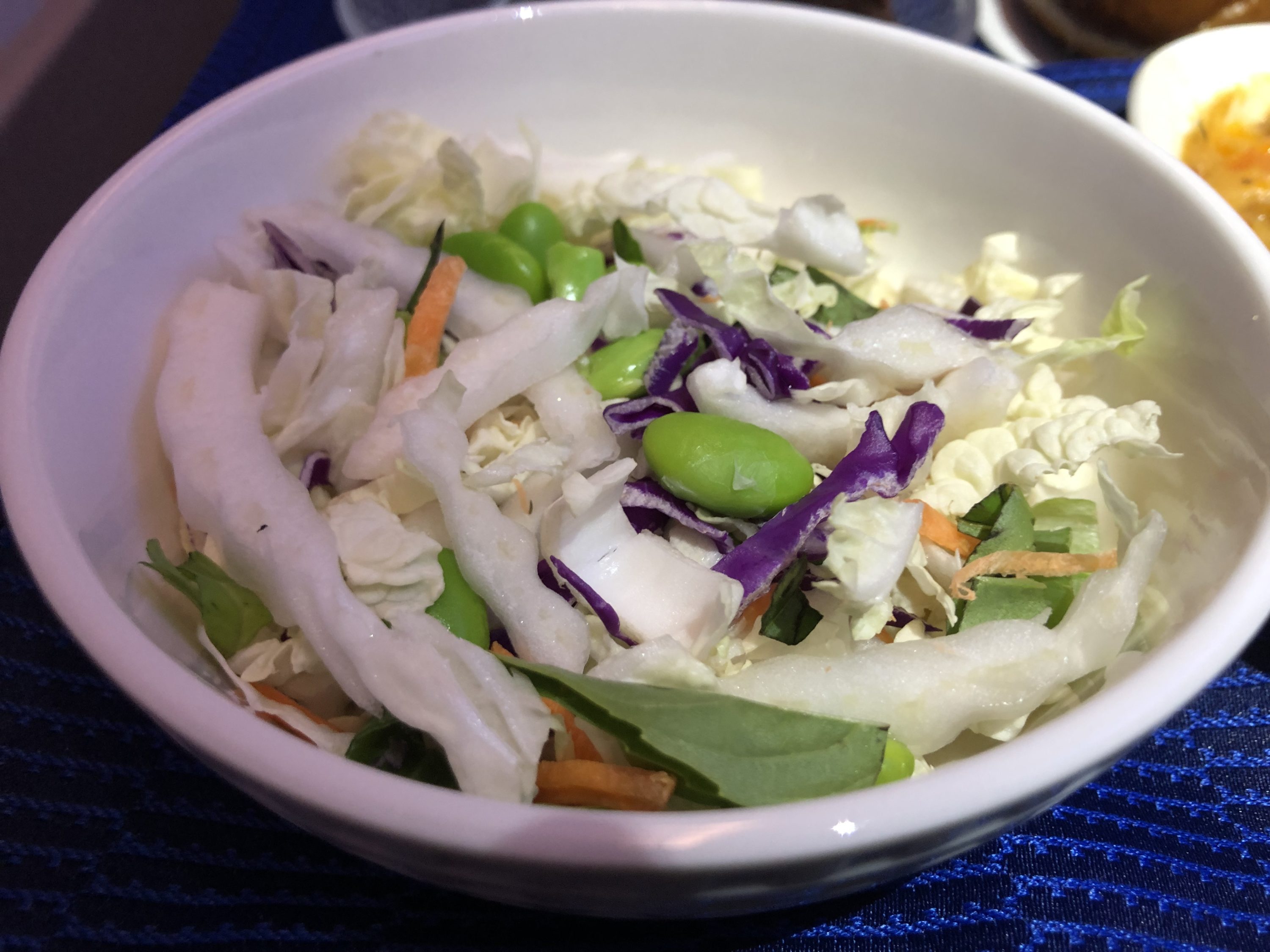 United Polaris 787-10 salad