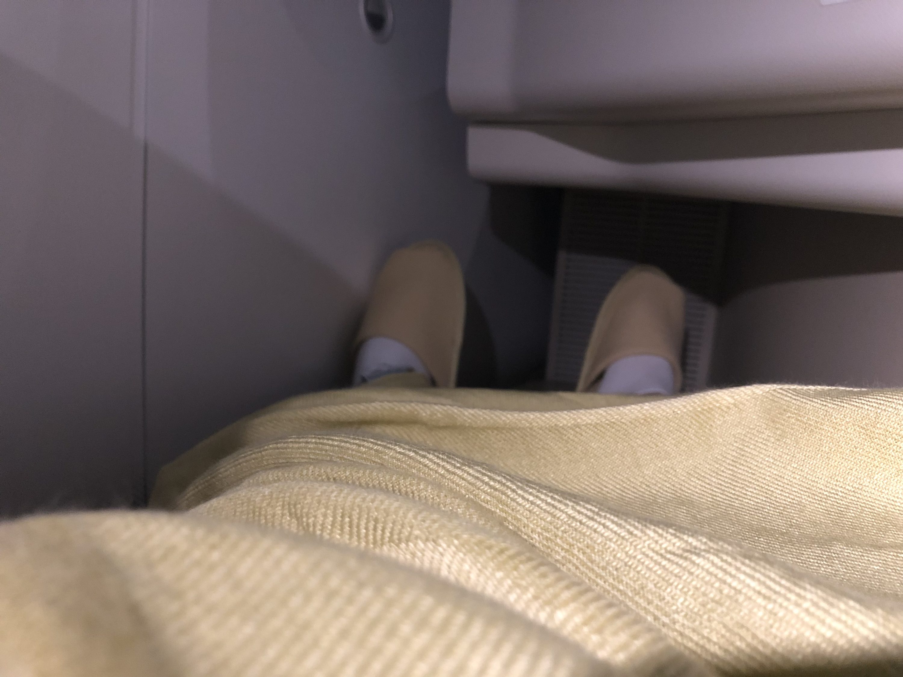 Vietnam Airlines 787-9 business class canoe test