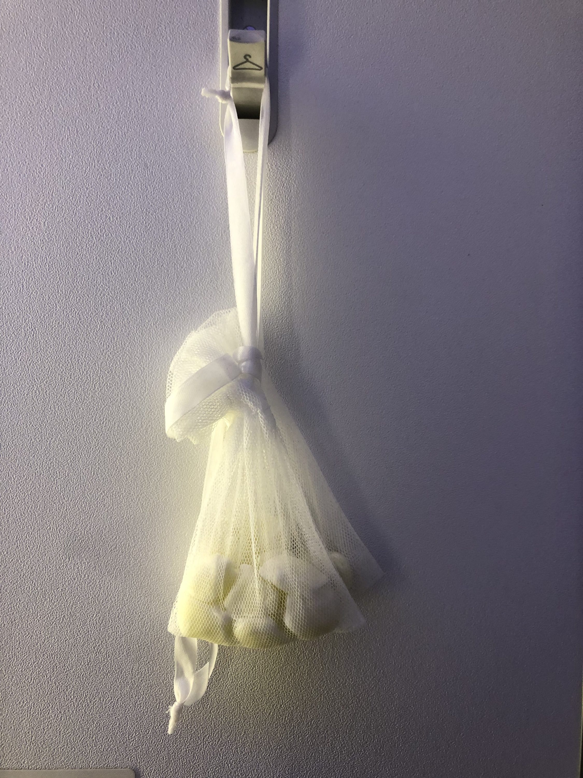 Vietnam Airlines 787-9 business class lavatories scent bag