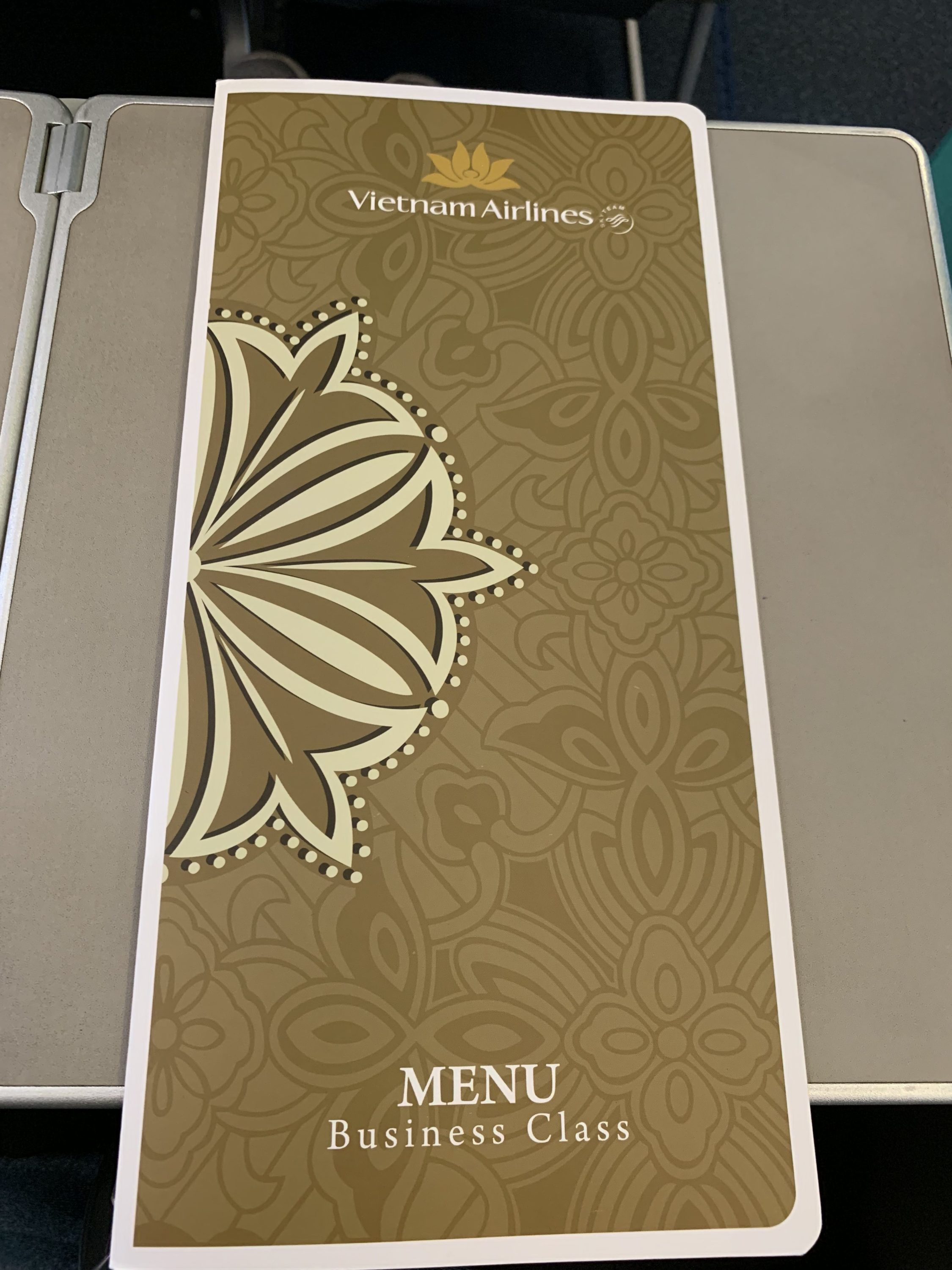 Vietnam Airlines A321 business class cover page