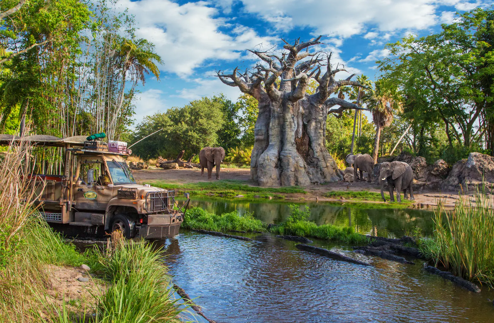 Disney's Animal Kingdom