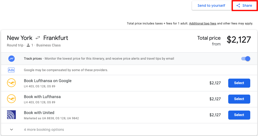 Google Flights Share Button