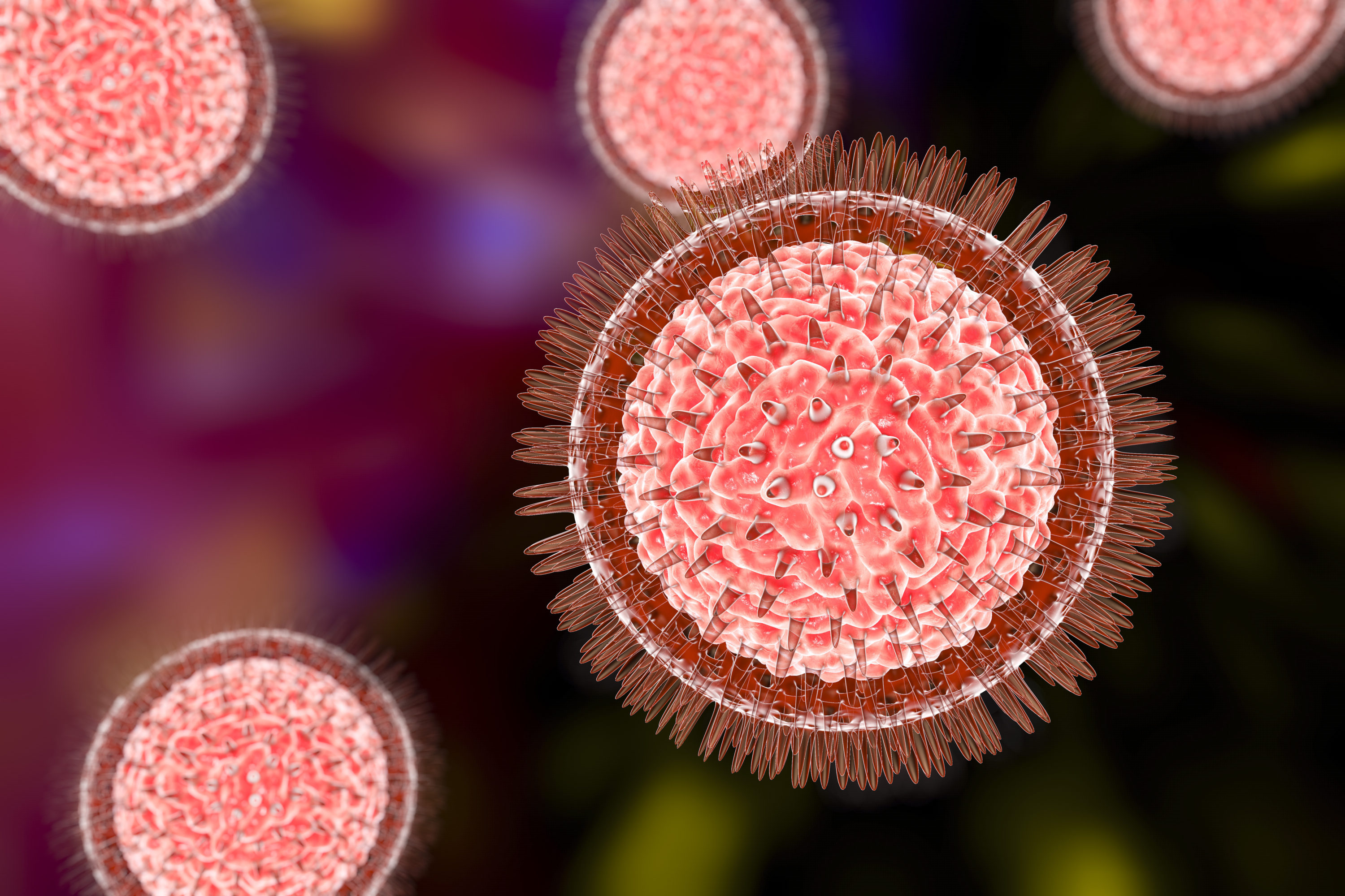 Zika Virus Illustration