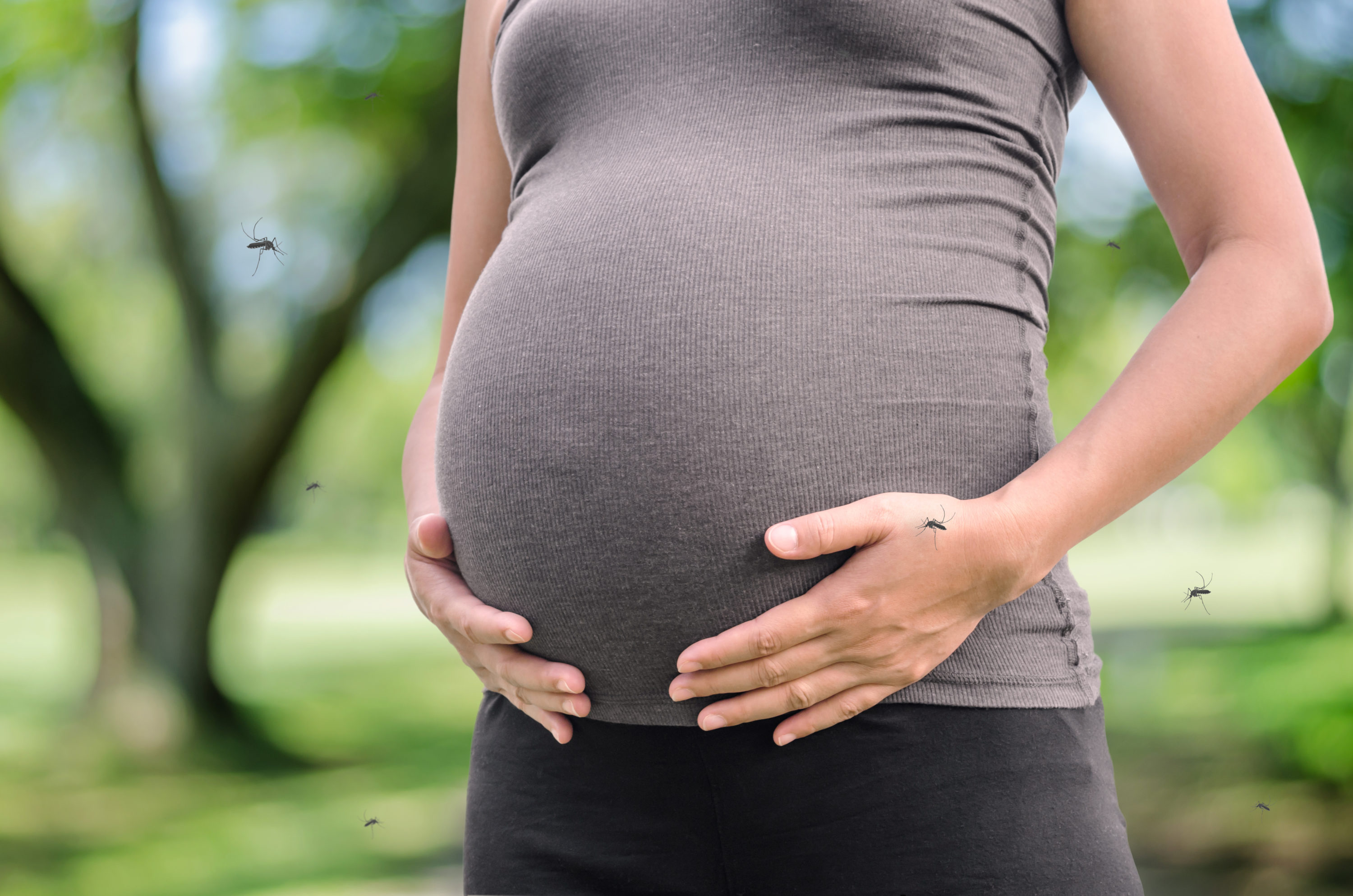 Zika and Pregnancy