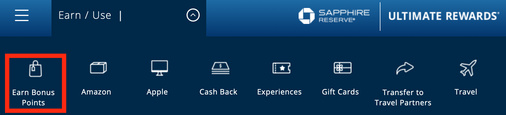 Accessing the Chase shopping portal.