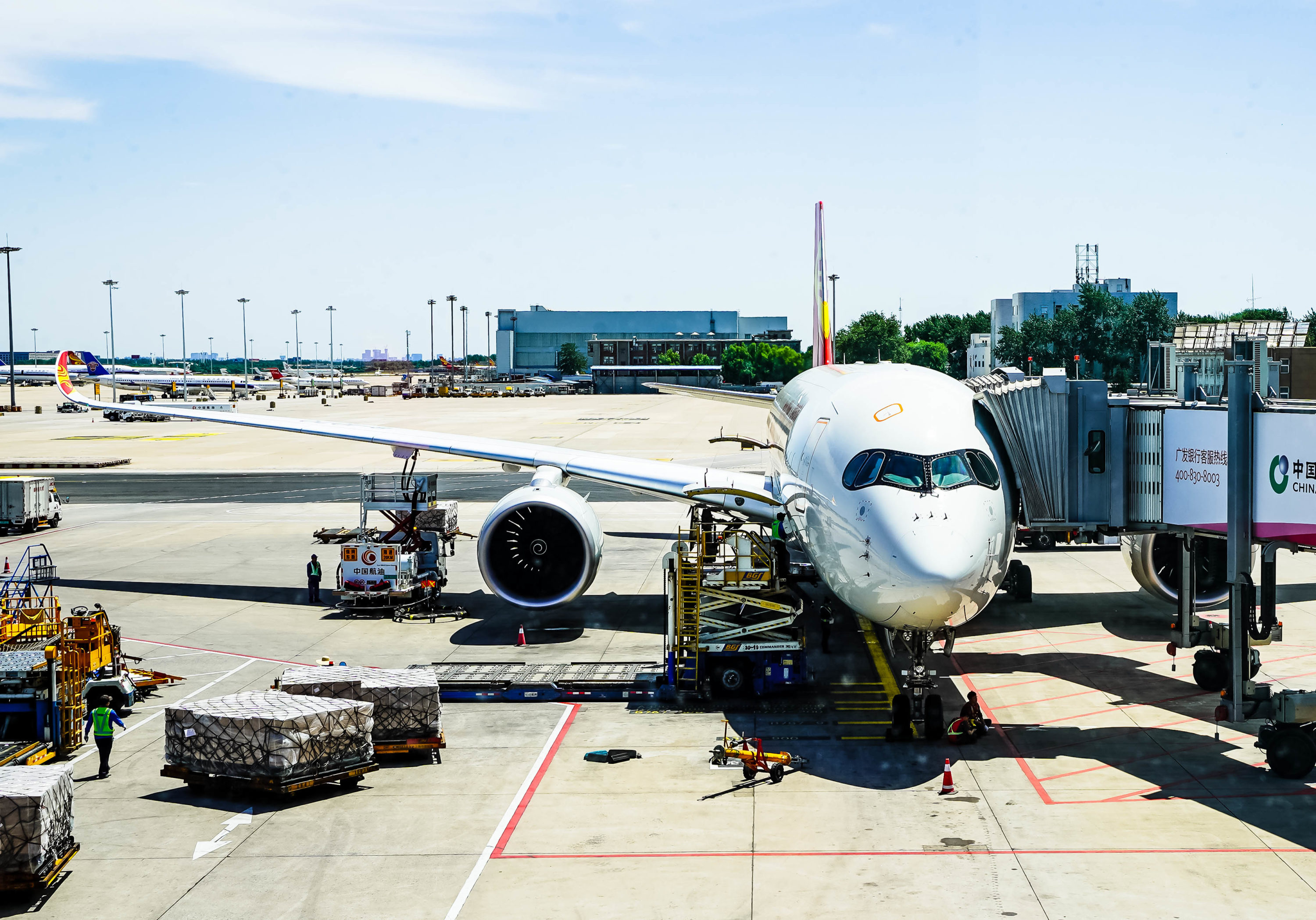 Hainan Airlines Airbus A350-900 - Cherag Dubash