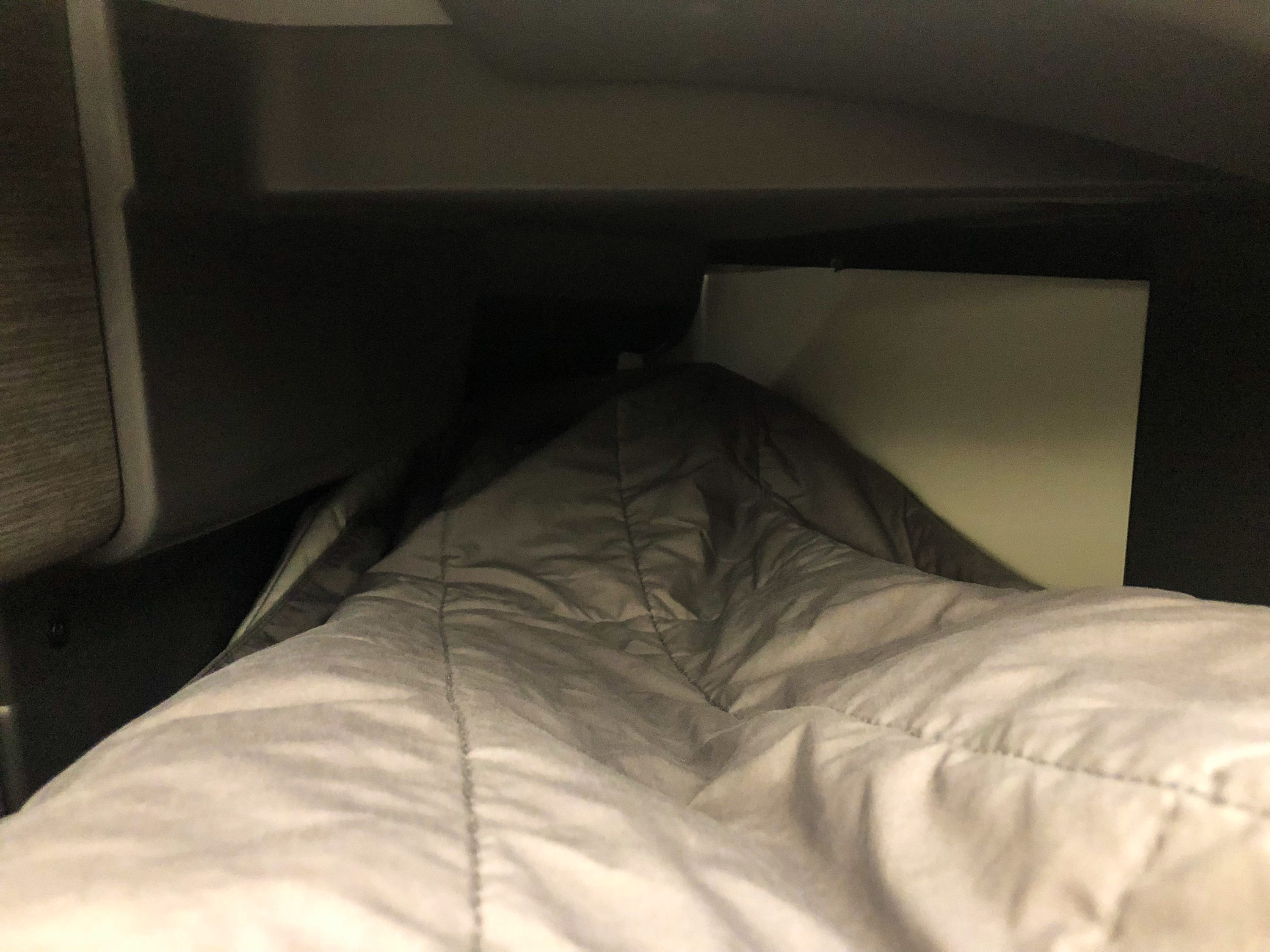 American Airlines 787-9 Flagship Business Class canoe test