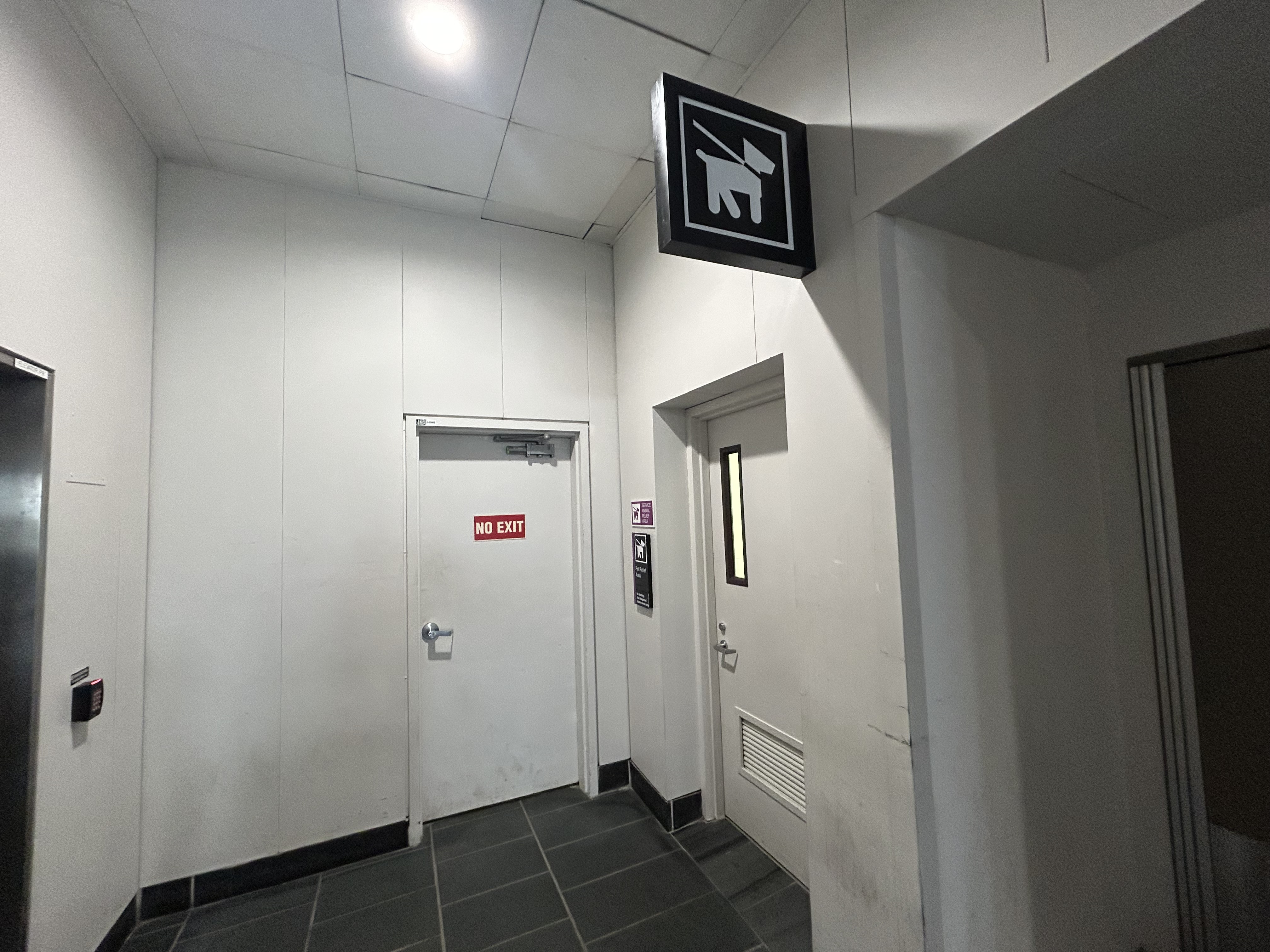 Boston Logan Airport pet relief station Terminal E E7 Boston Logan Airport pet relief station Terminal E E7
