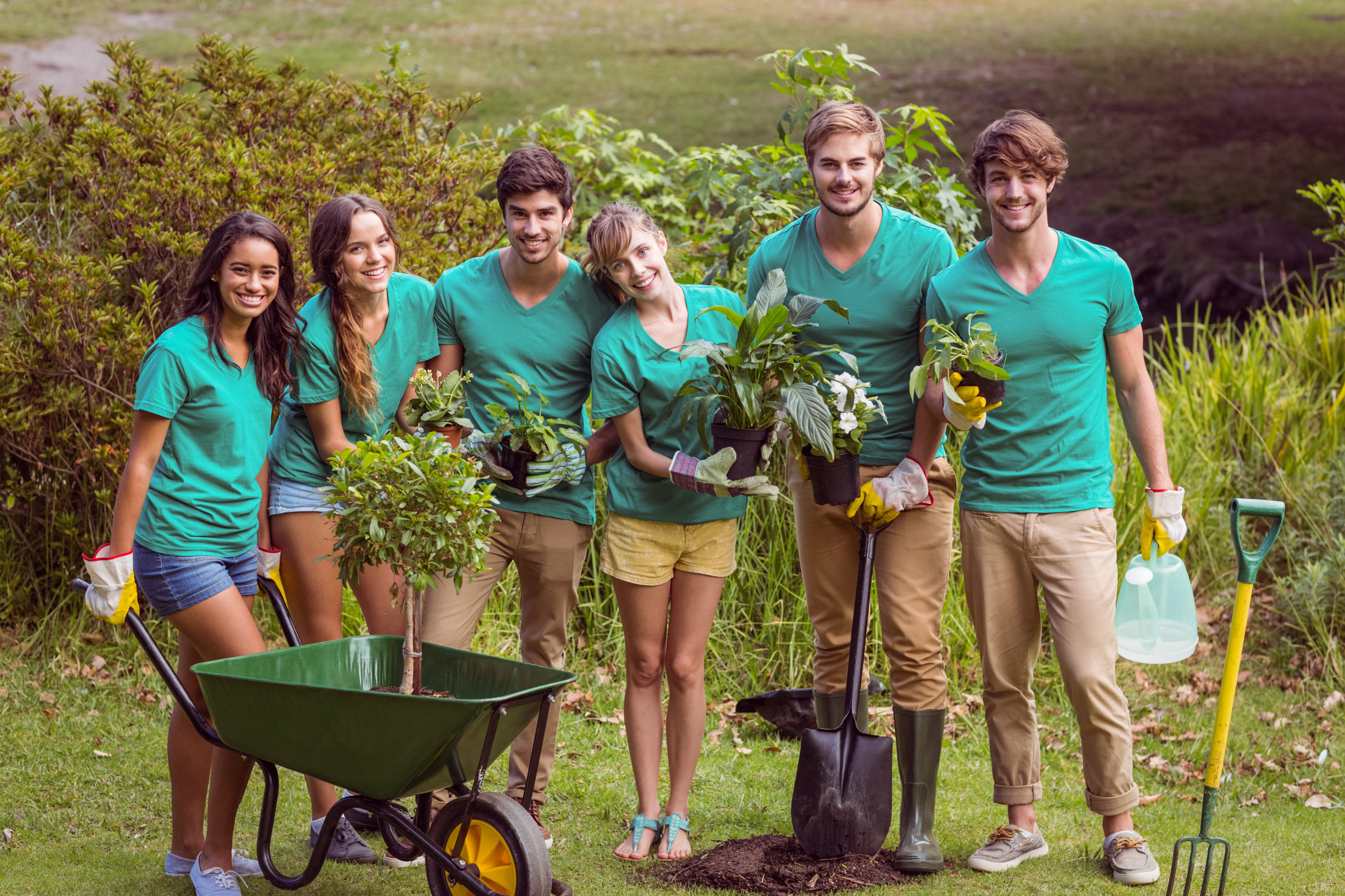 Volunteering Conservation