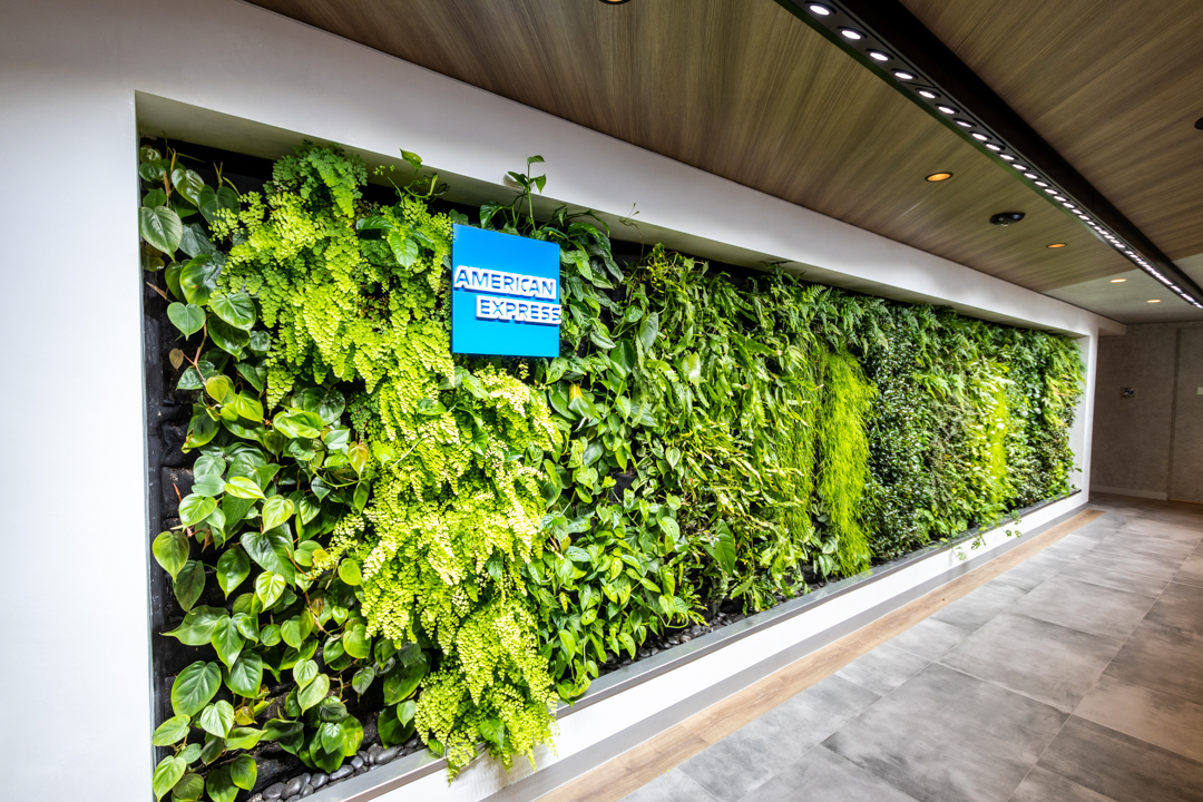 American Express Card Member lounge