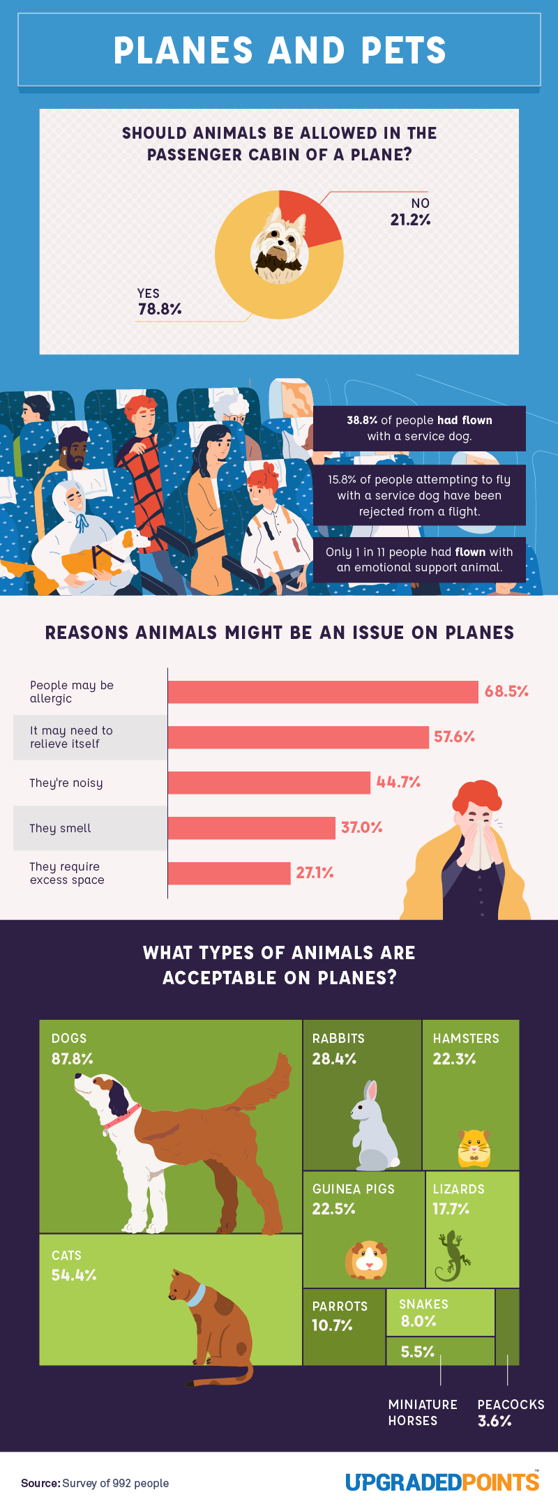 Planes and Pets