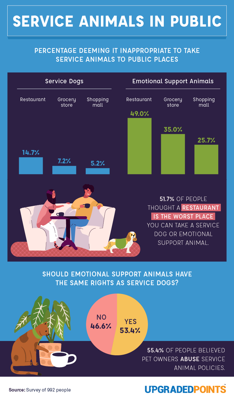 Service animals in public