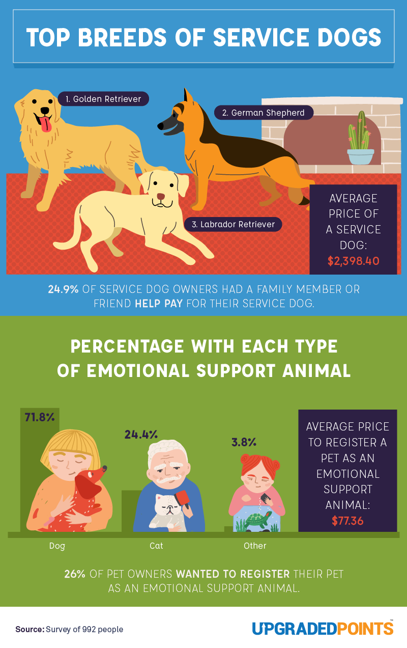 Top breeds of service dogs