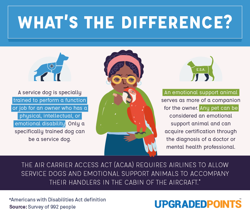 what's the difference between service dog and emotional support animal