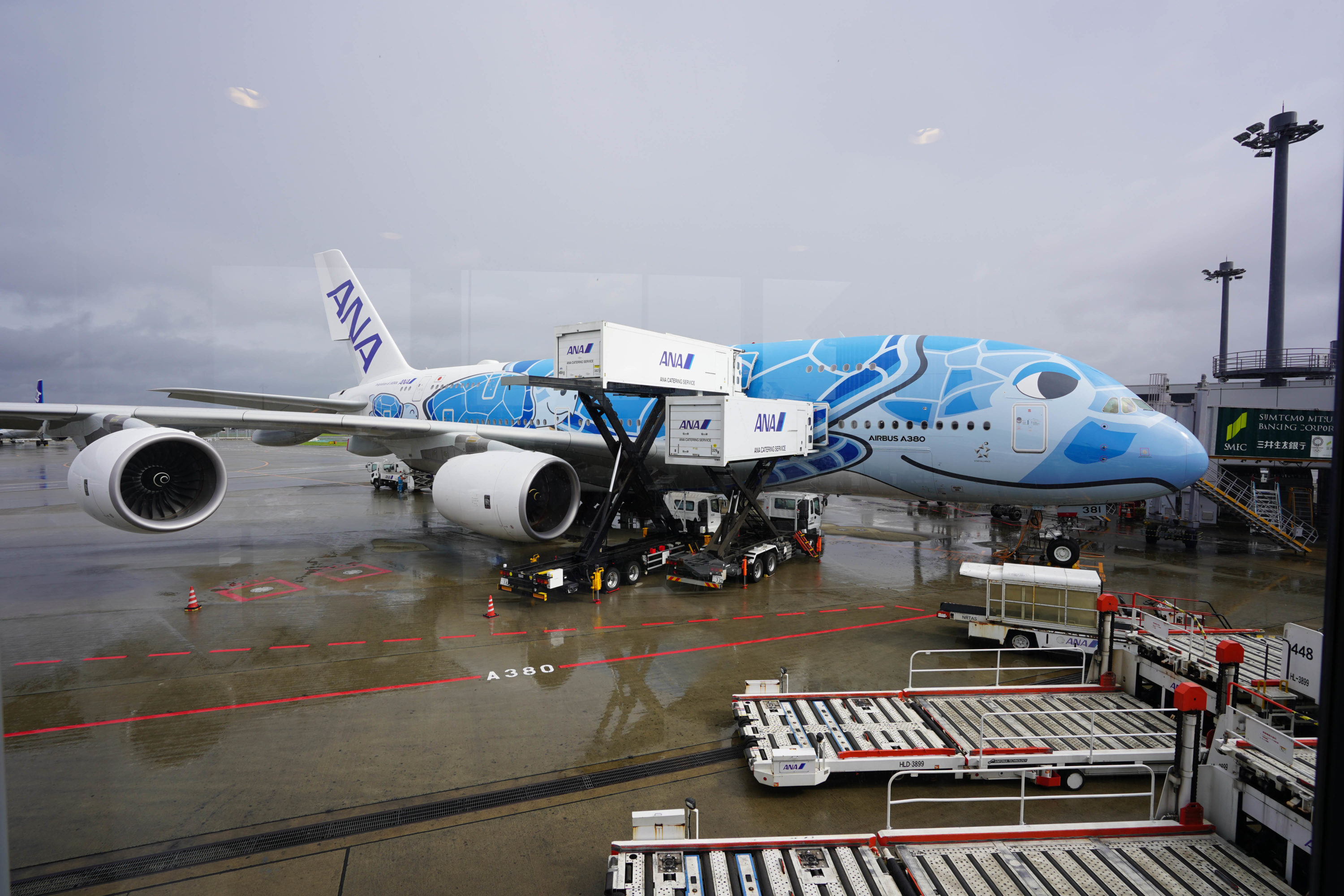 ANA A380