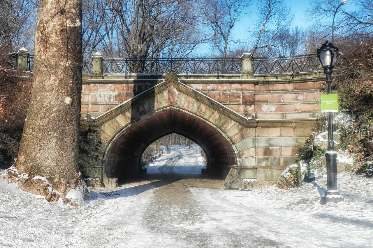 Central Park Bridge