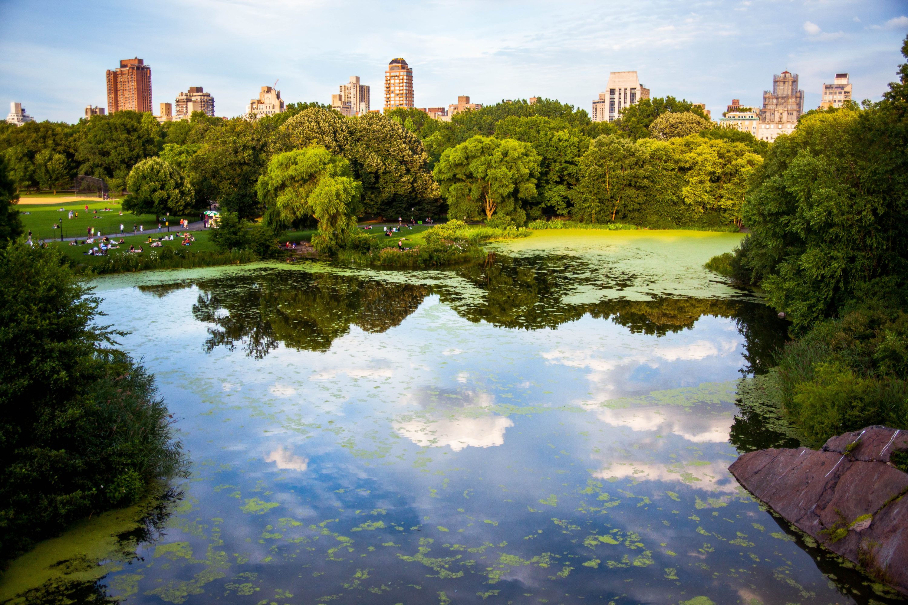 Central Park Lake